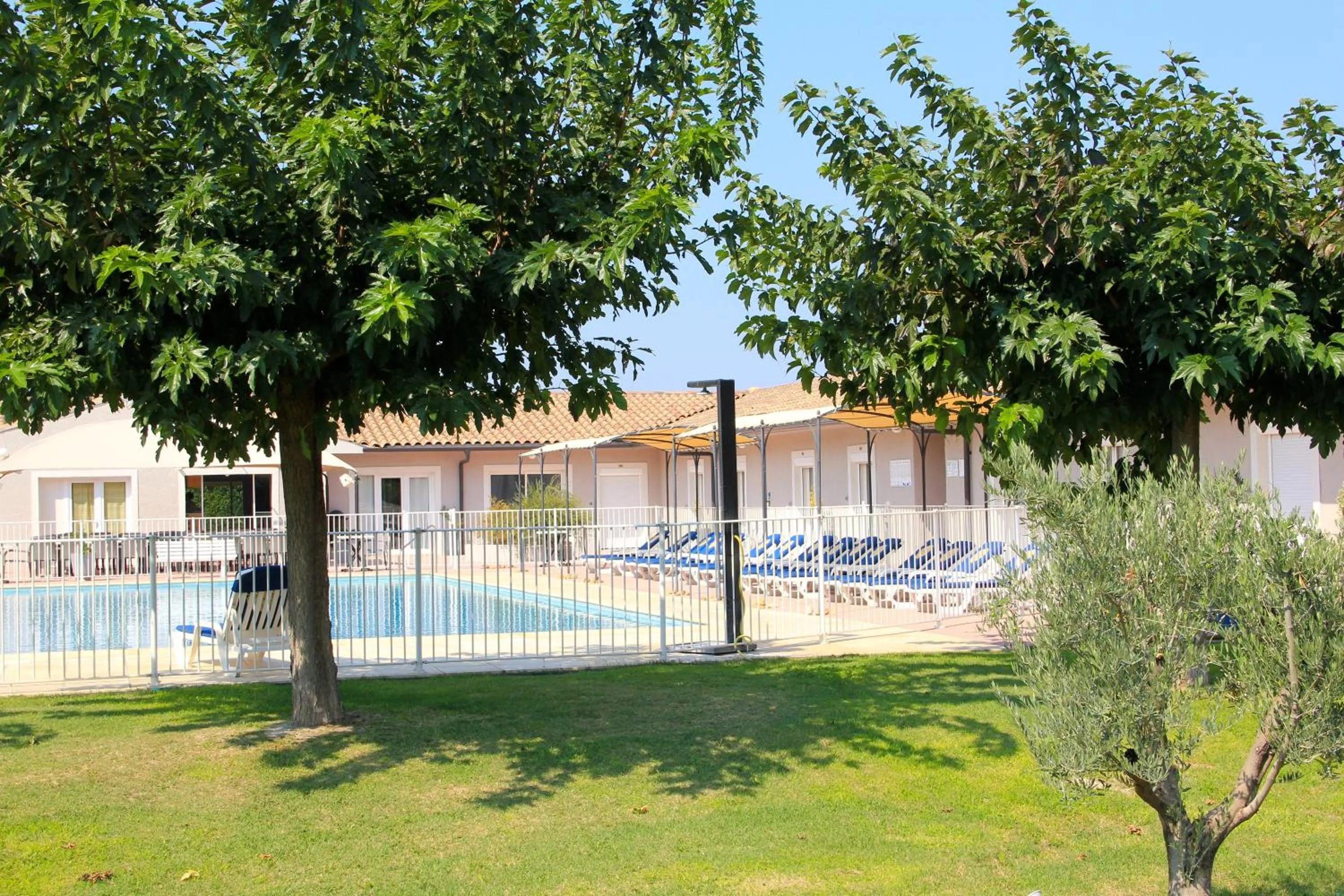 Garden in Hôtel Saint Louis