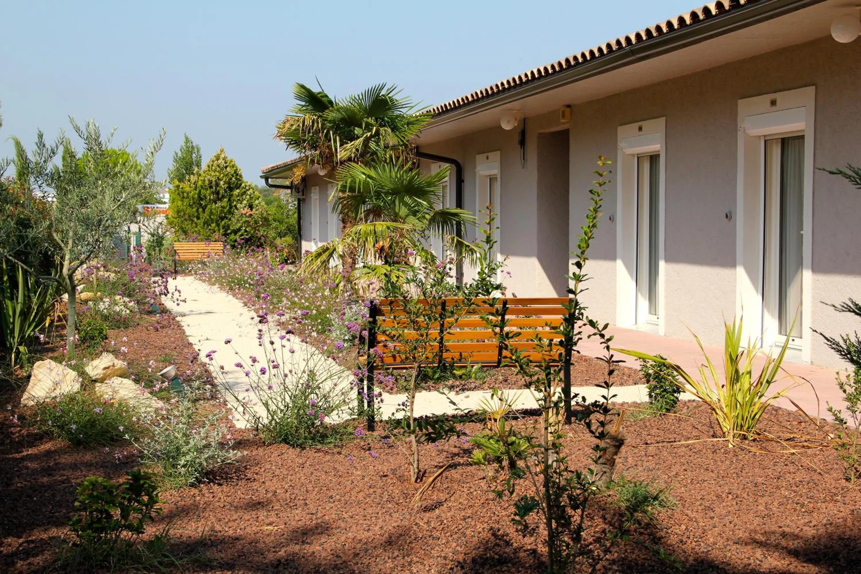 Garden in Hôtel Saint Louis