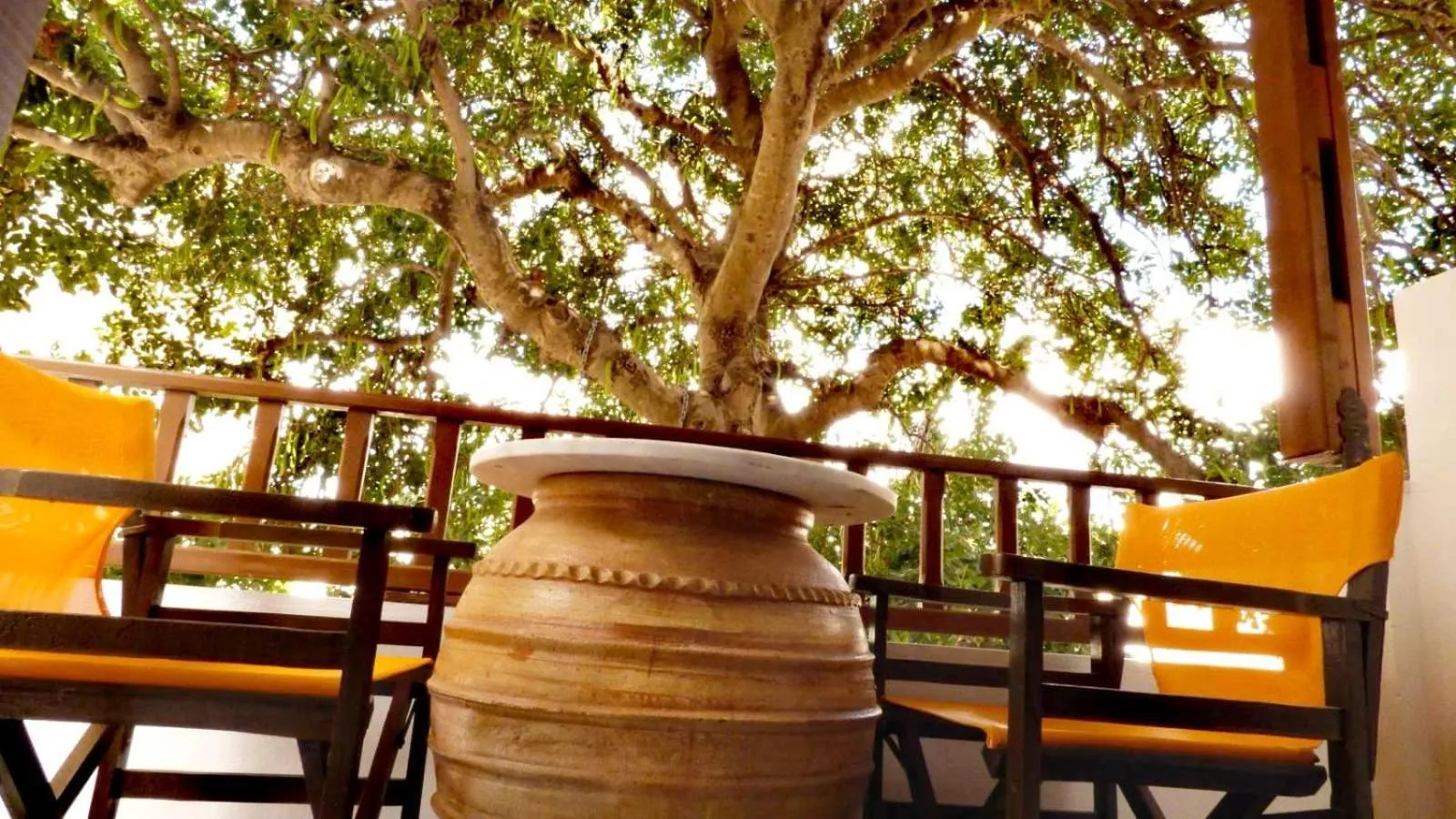 Garden view in Virginia Rooms