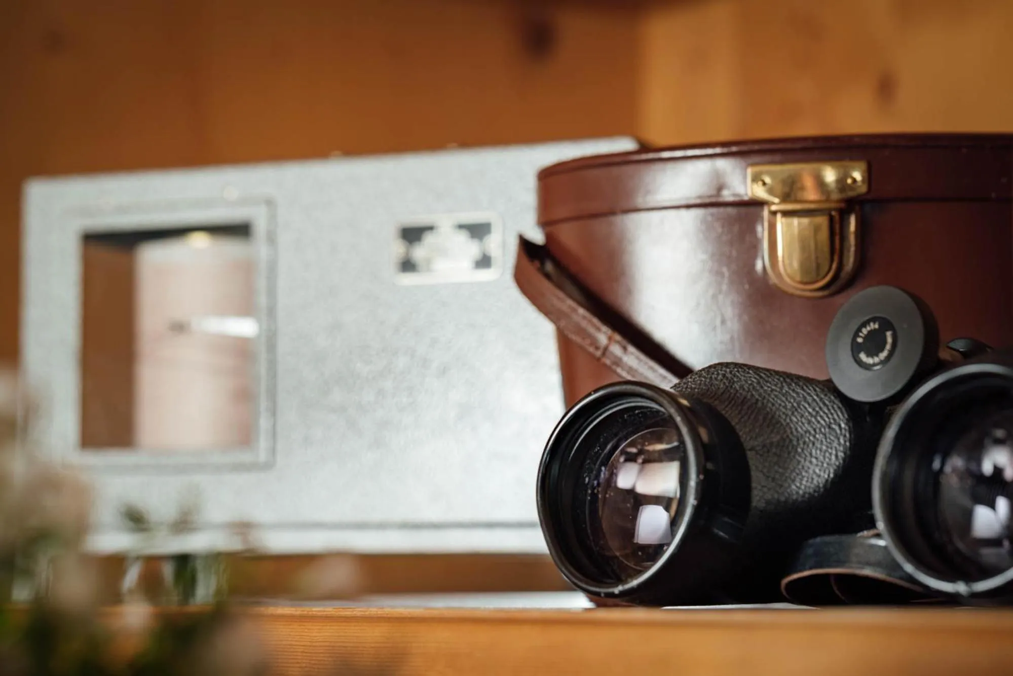 Decorative detail in Hotel Macun, Vent im Ötztal