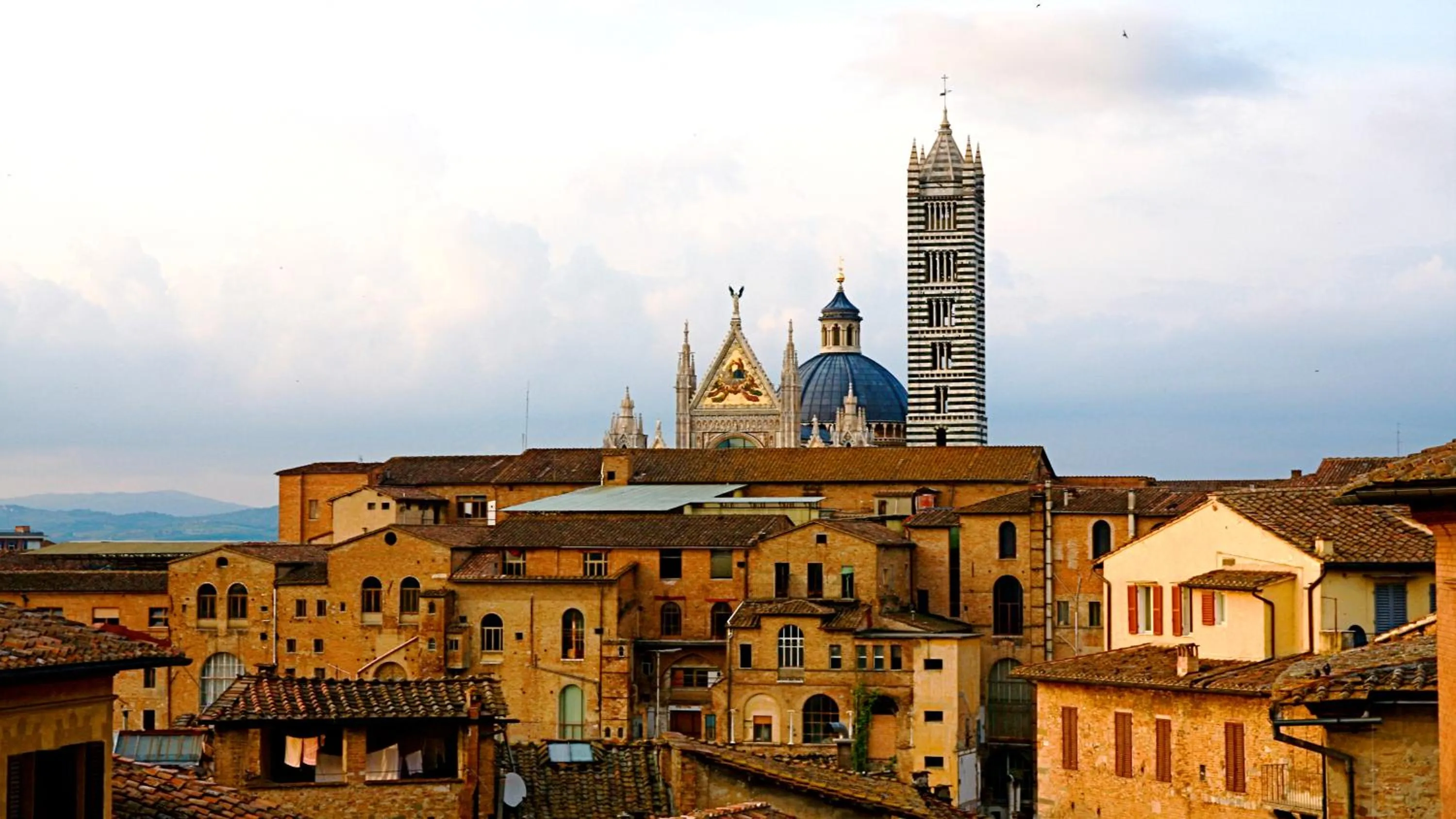 Area and facilities in Palazzo Ravizza