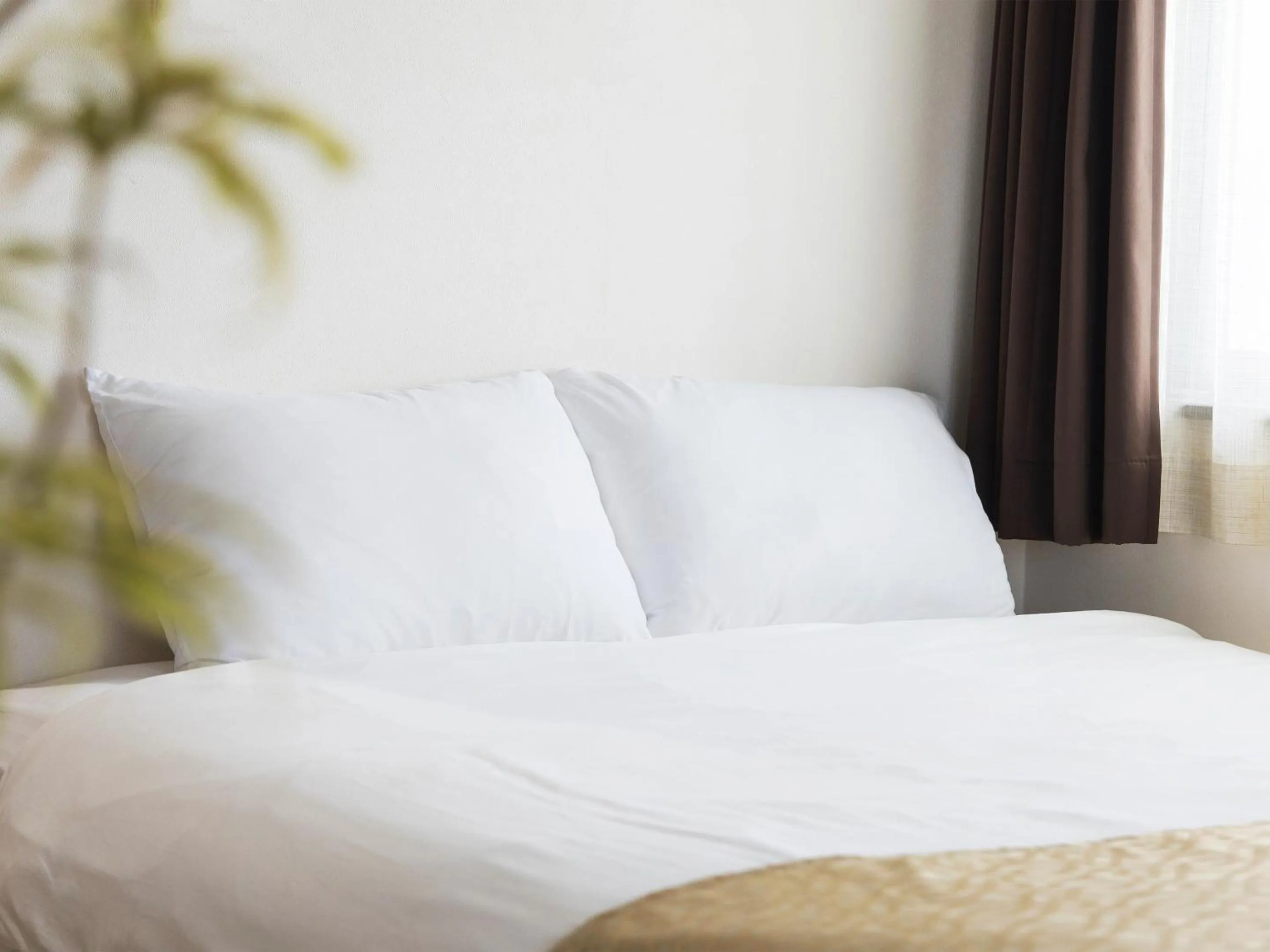 Photo of the whole room, Bed in Comfort Plus