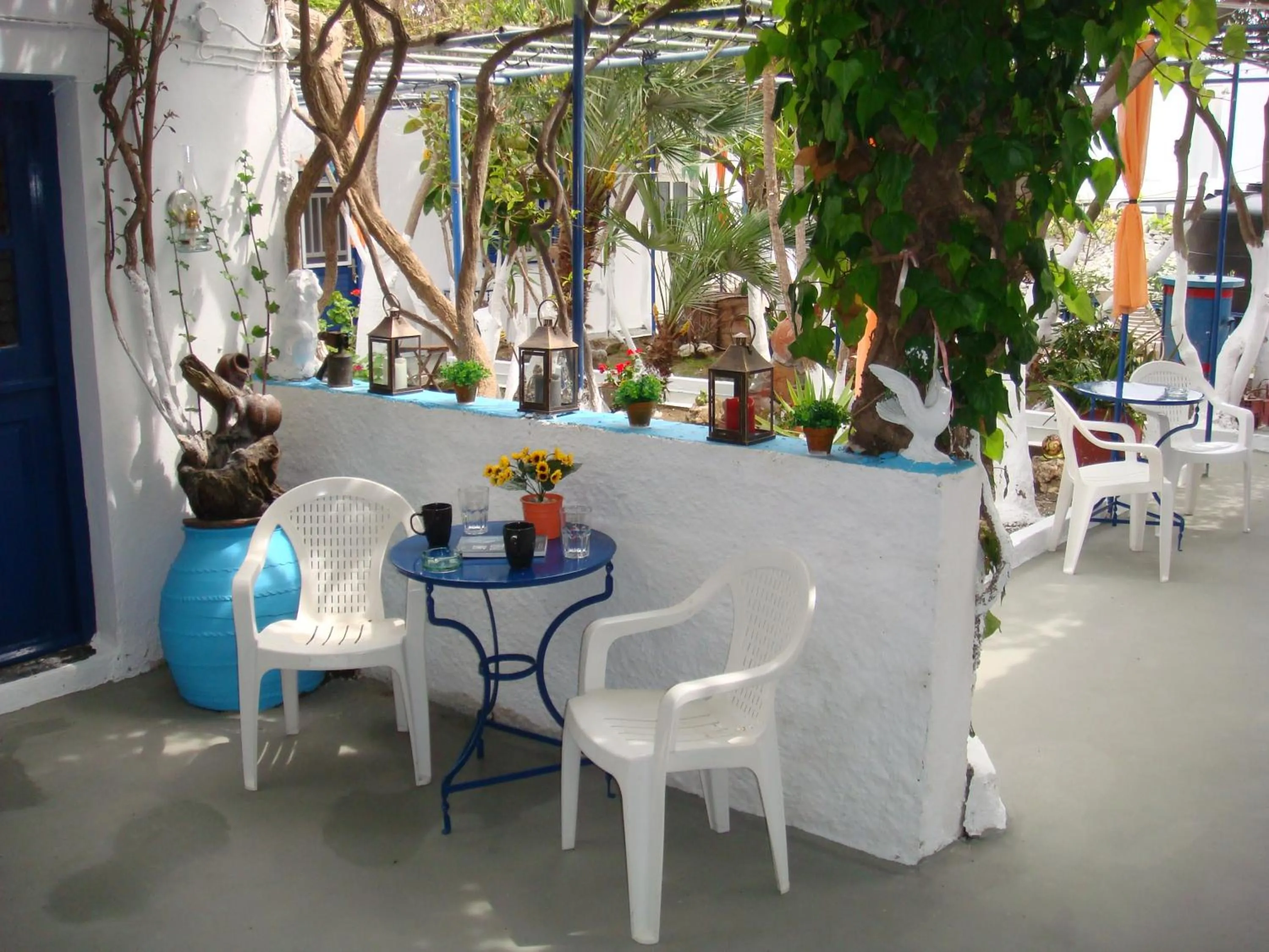 Garden in Boussetil Rooms CapAnMat