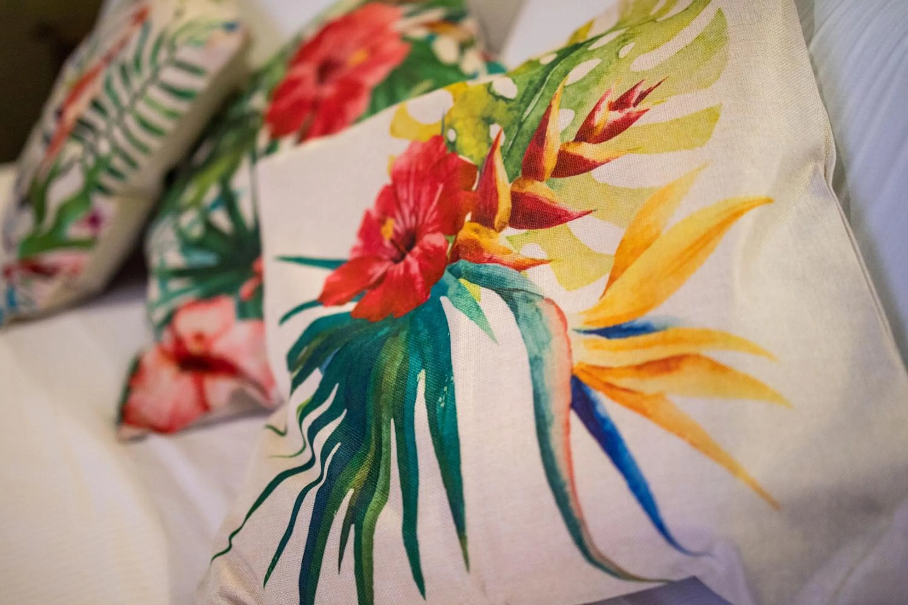 Other in BQ House Trevi Luxury Rooms