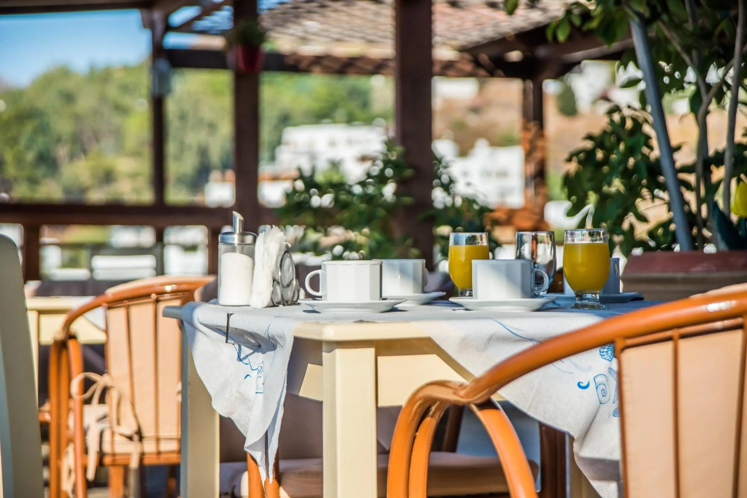 Lounge or bar in Grikos Hotel