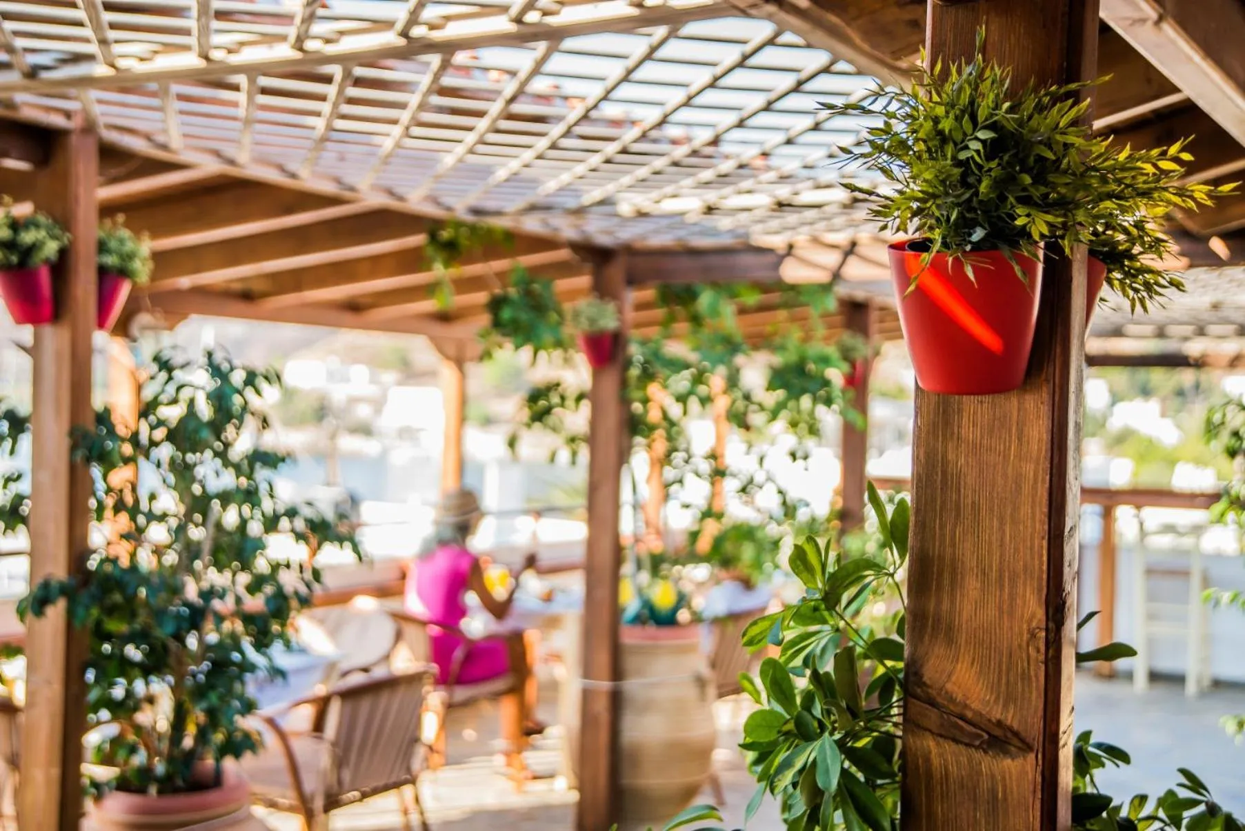 Restaurant/places to eat in Grikos Hotel