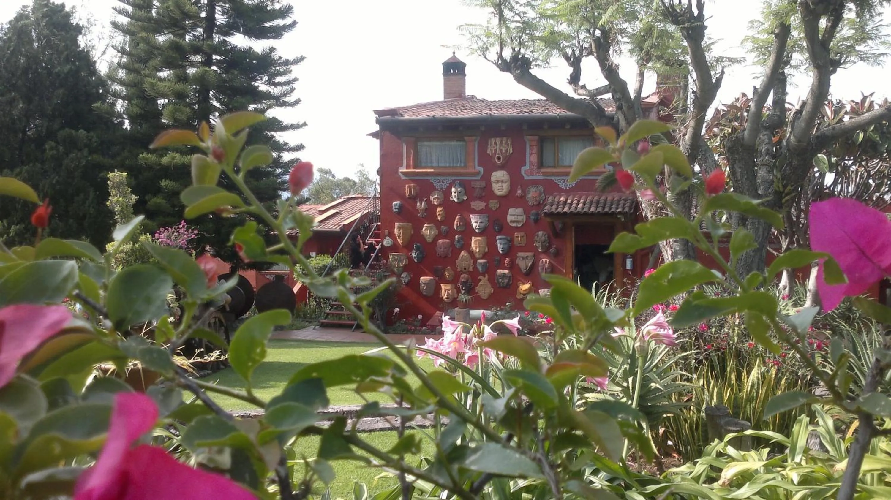 Garden in Villa San Jose Hotel & Suites