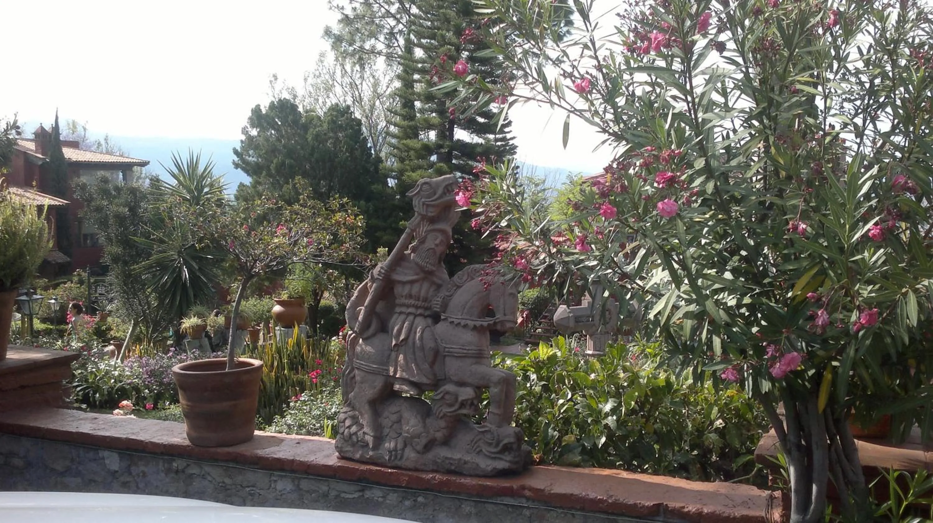 Garden in Villa San Jose Hotel & Suites