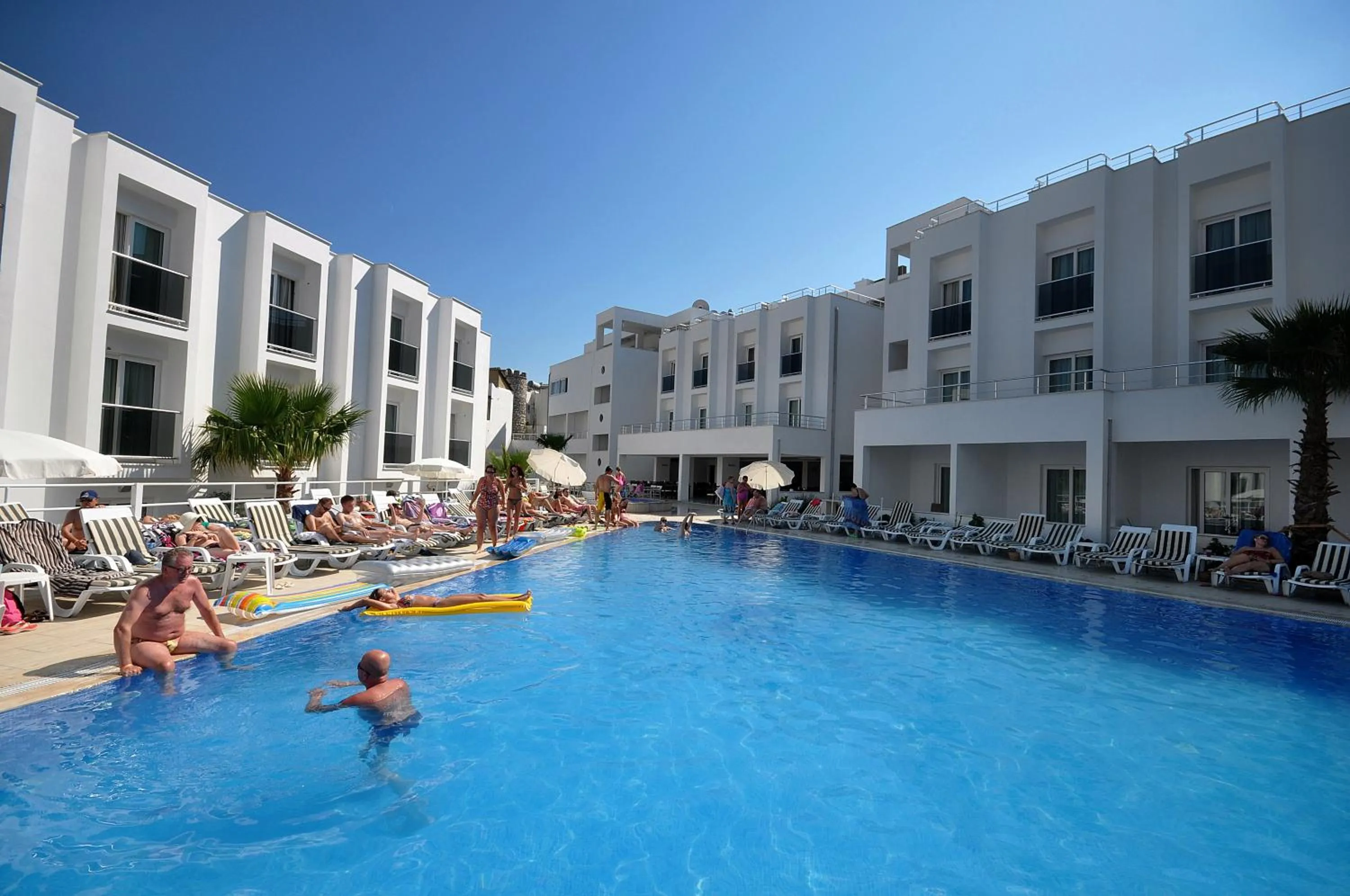 Swimming pool in Club Shark Hotel