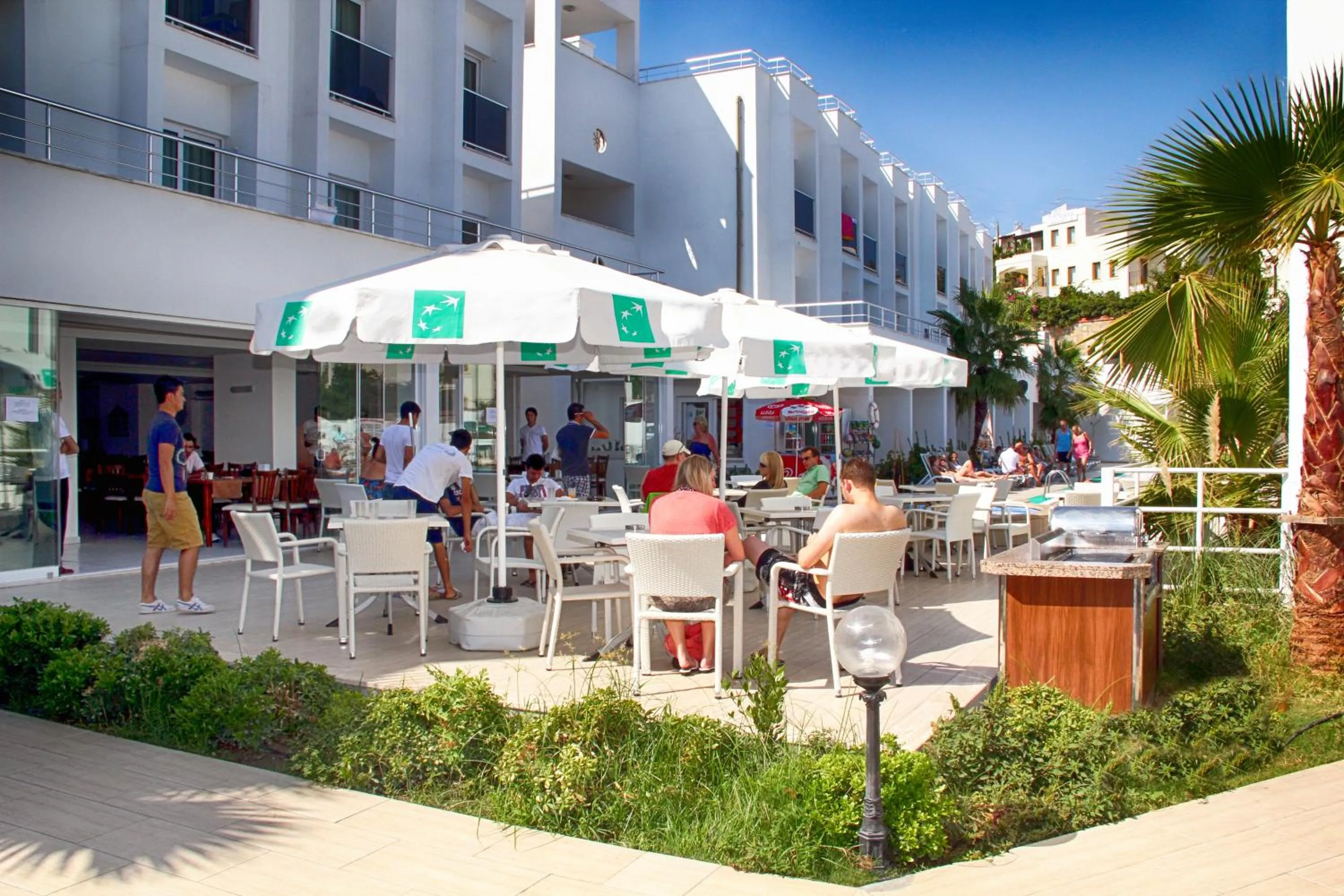 Restaurant/places to eat in Club Shark Hotel