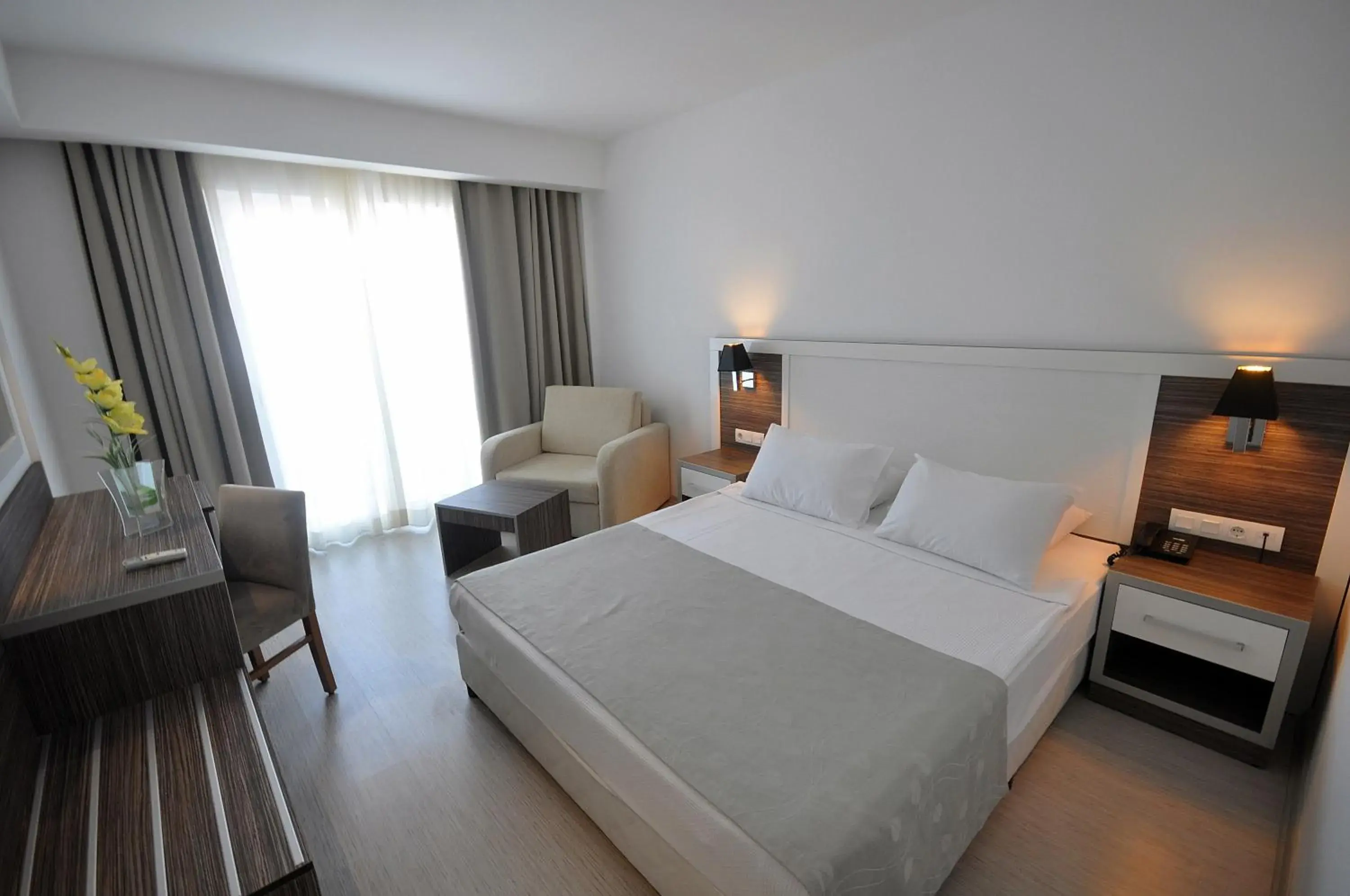 Standard Single Room in Club Shark Hotel Standard Single Room in Club Shark Hotel