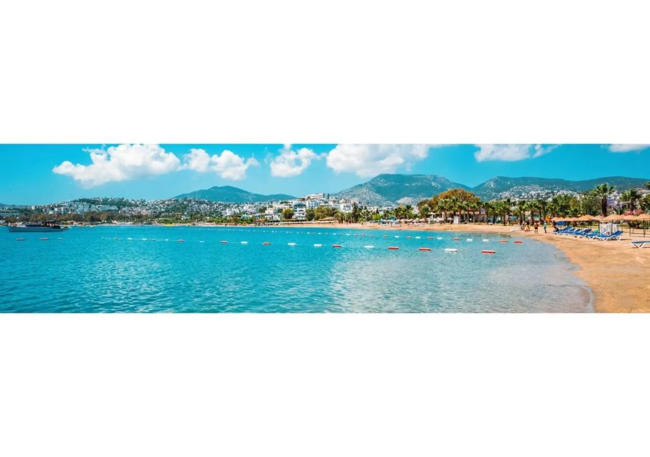 Beach in Club Shark Hotel