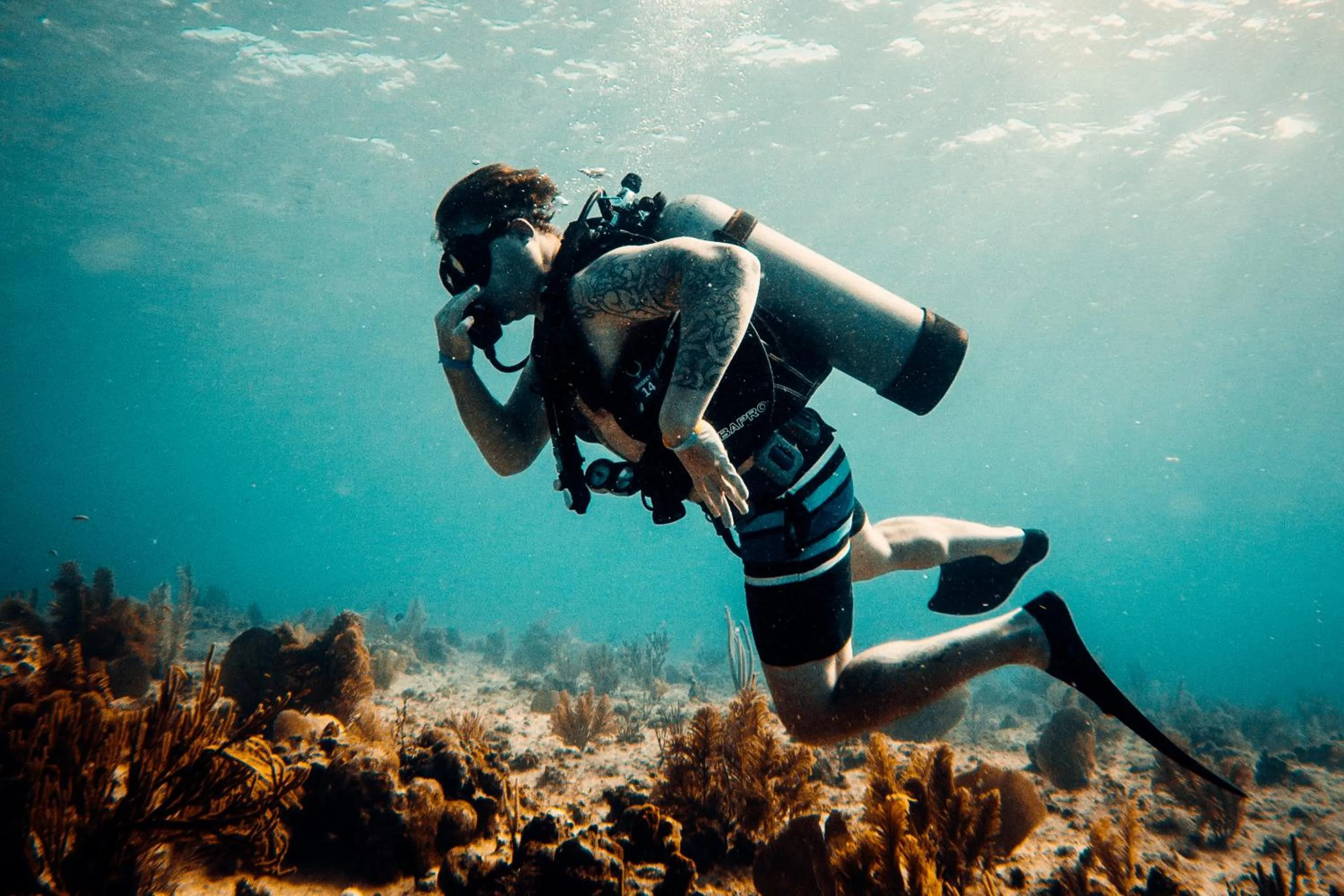People in Viajero San Andres Hostel