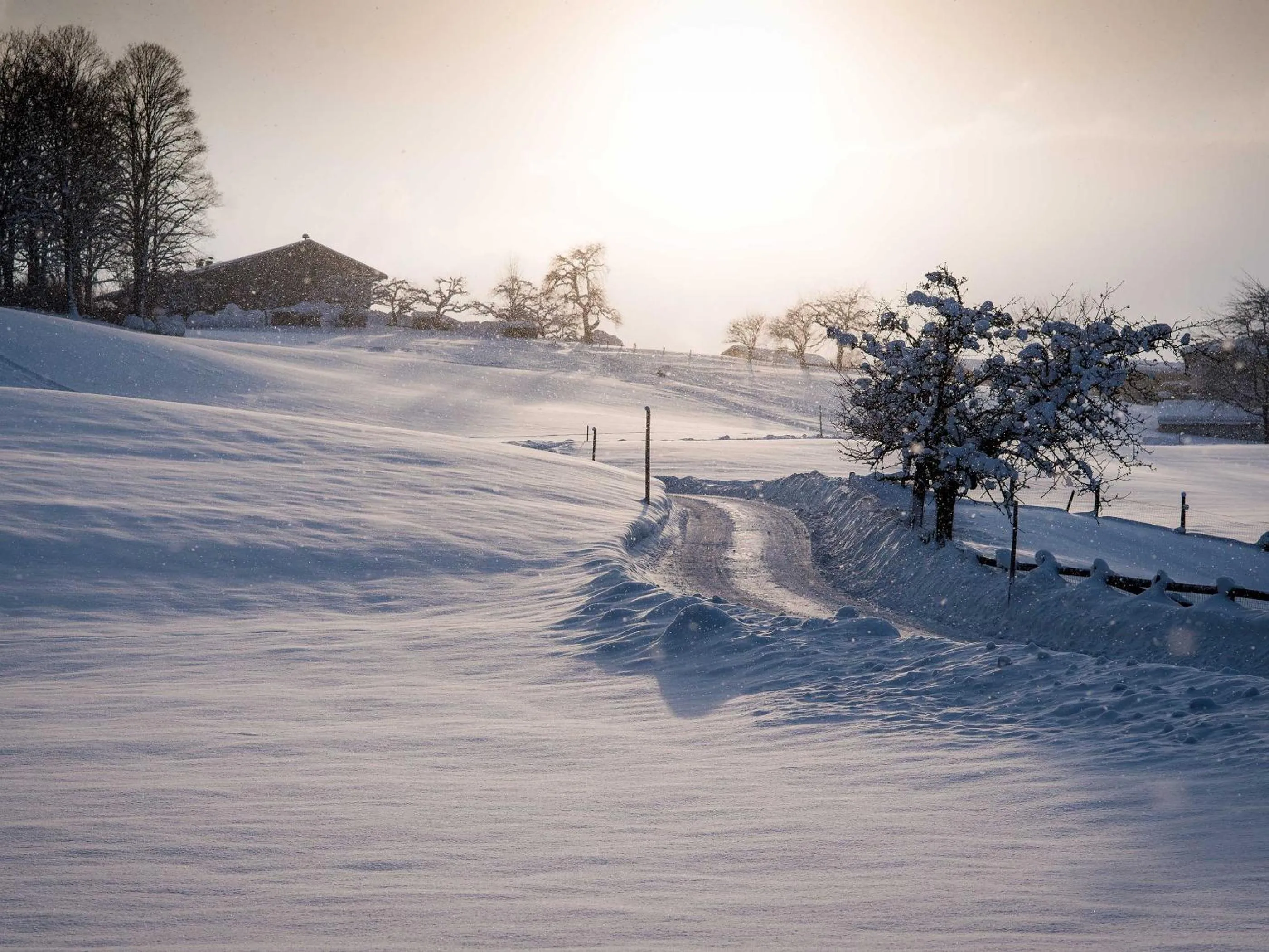 Staff in Unterwirt - Restaurant & Gasthof Ebbs