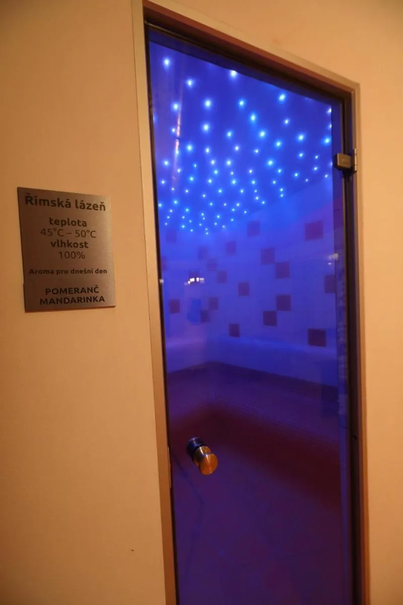 Steam room in Hotel Skicentrum