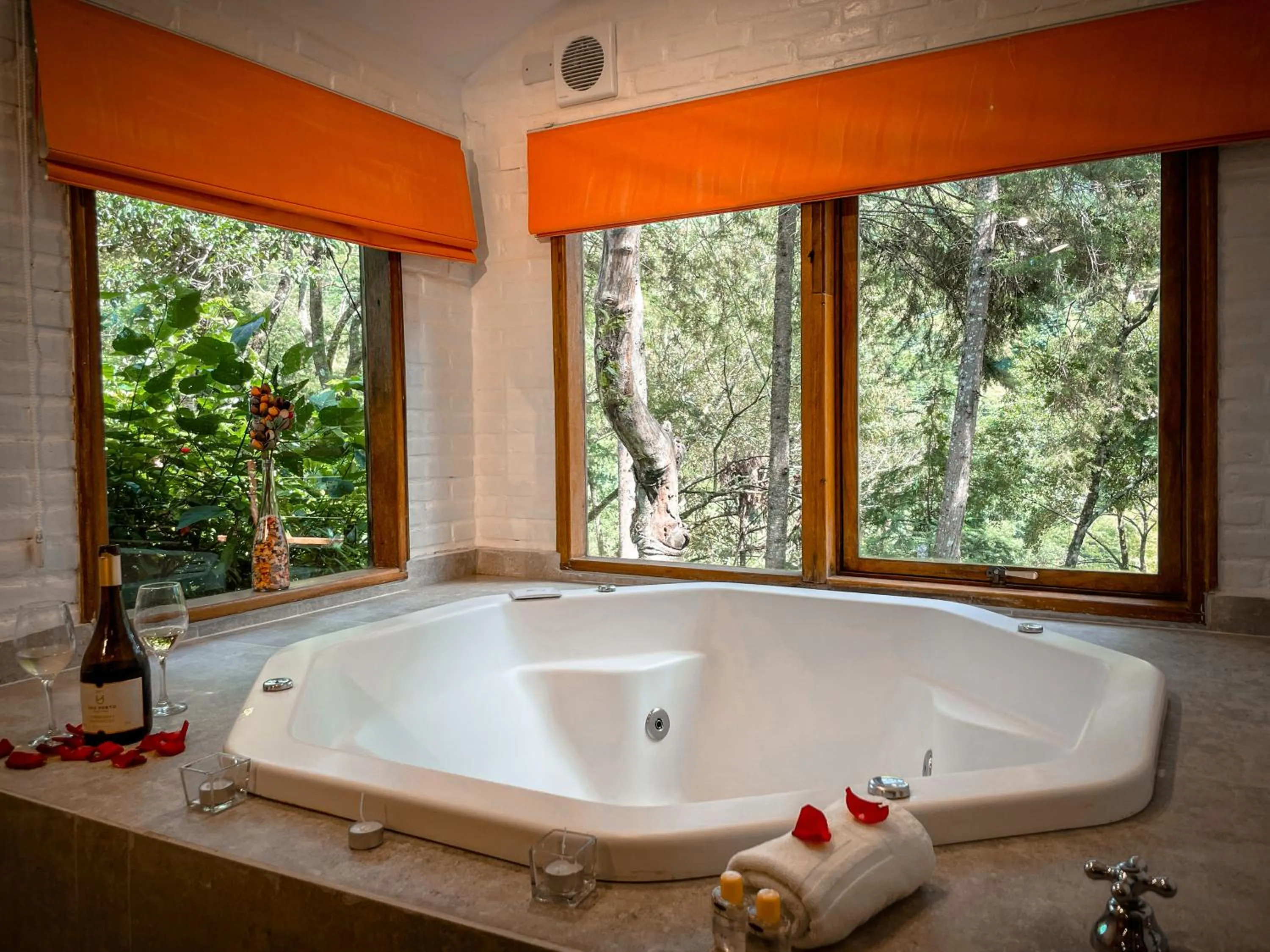 Pousada Solar D'Araucaria