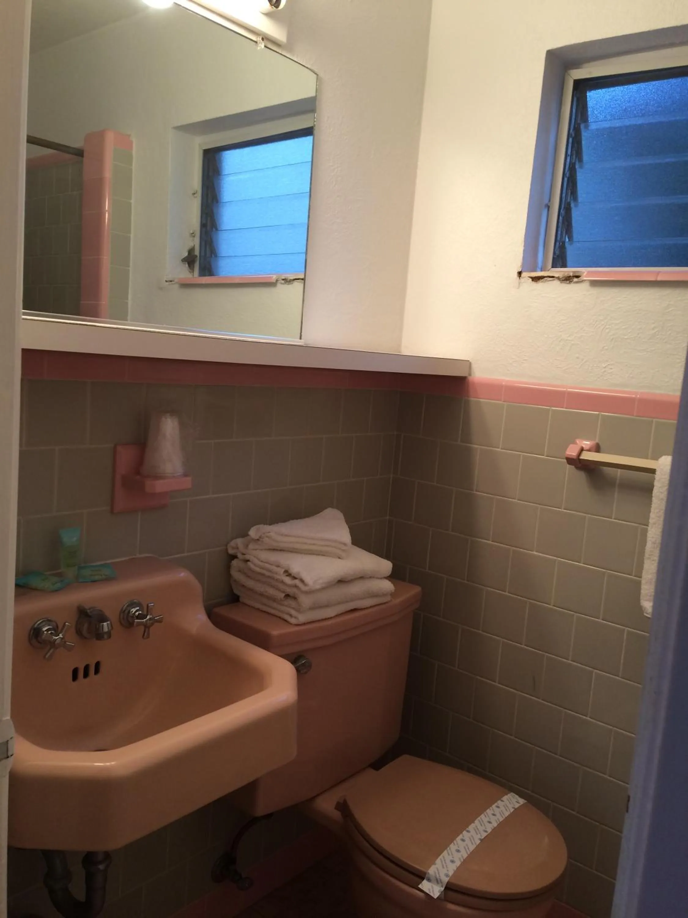 Bathroom in Royal Court Motel