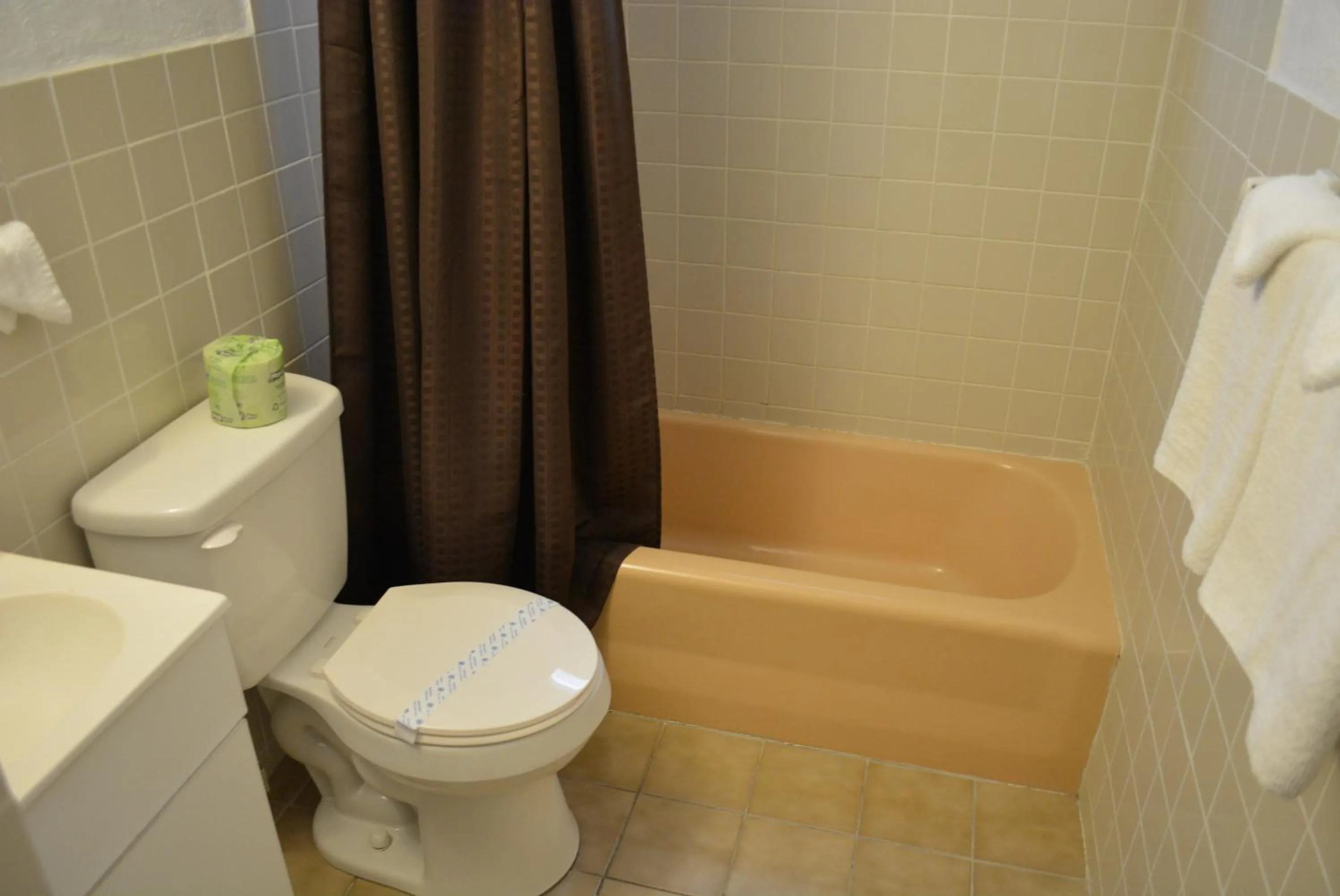 Bathroom in Royal Court Motel