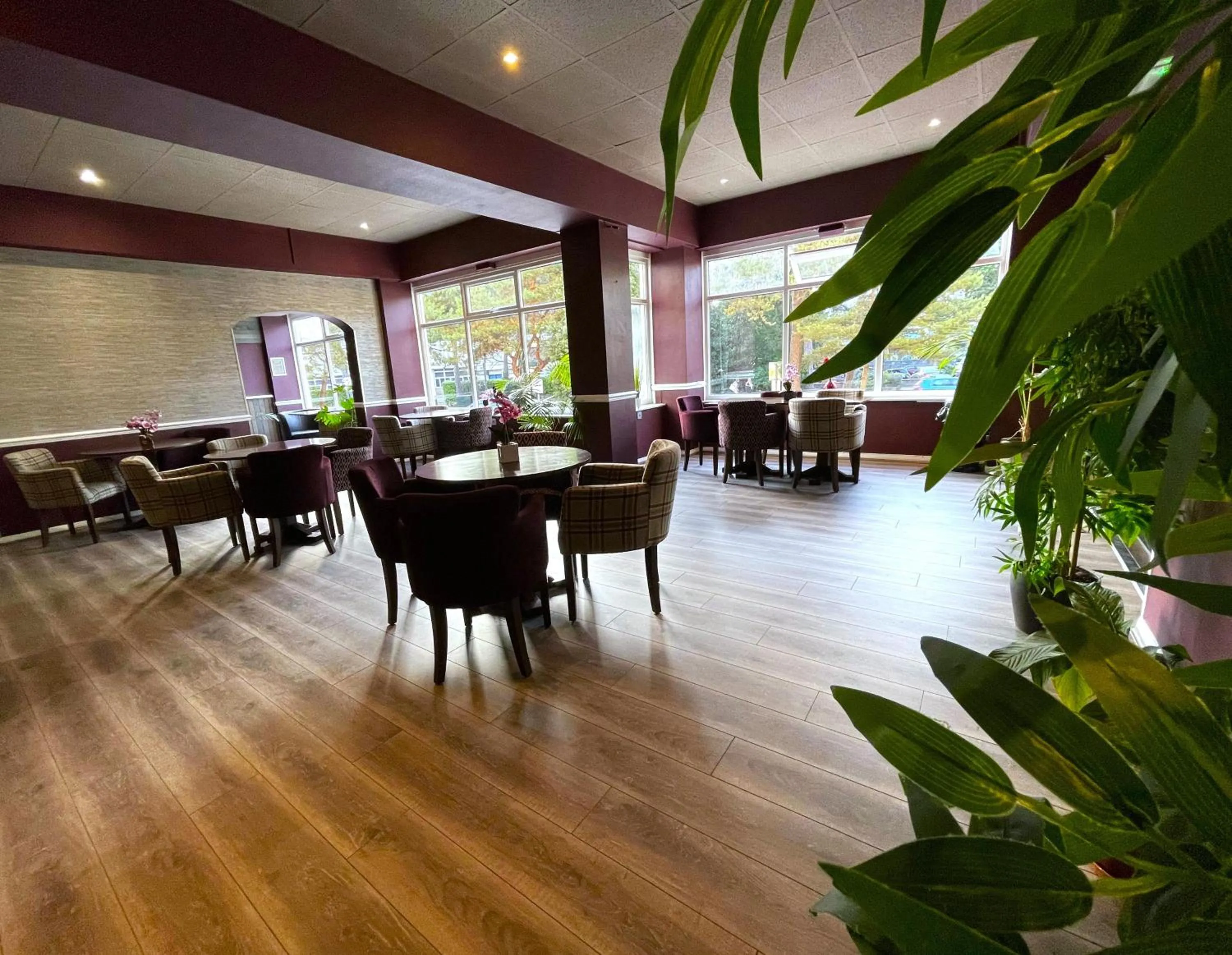 Lounge or bar, Restaurant/Places to Eat in Piccadilly Hotel