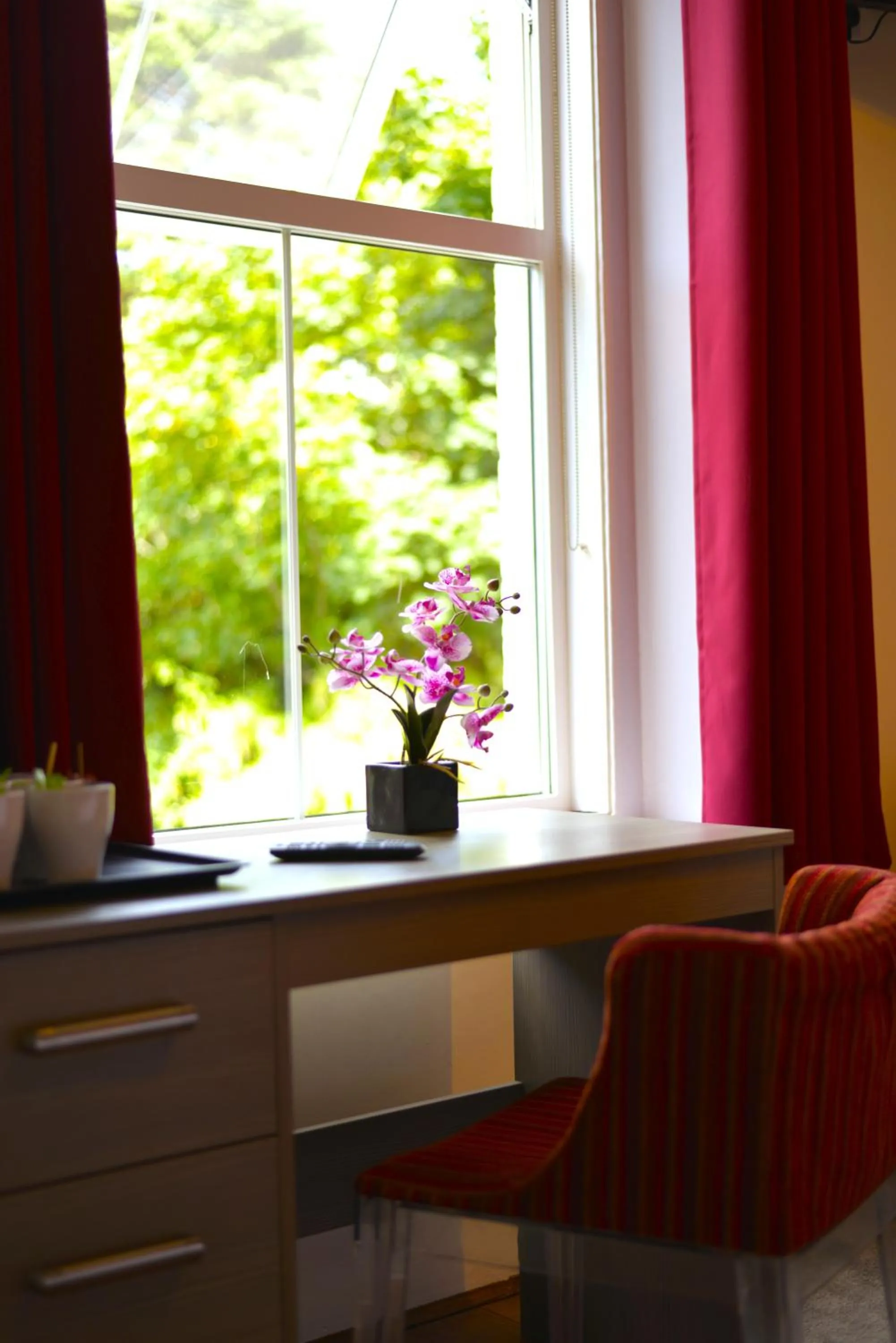 TV and multimedia in Piccadilly Hotel