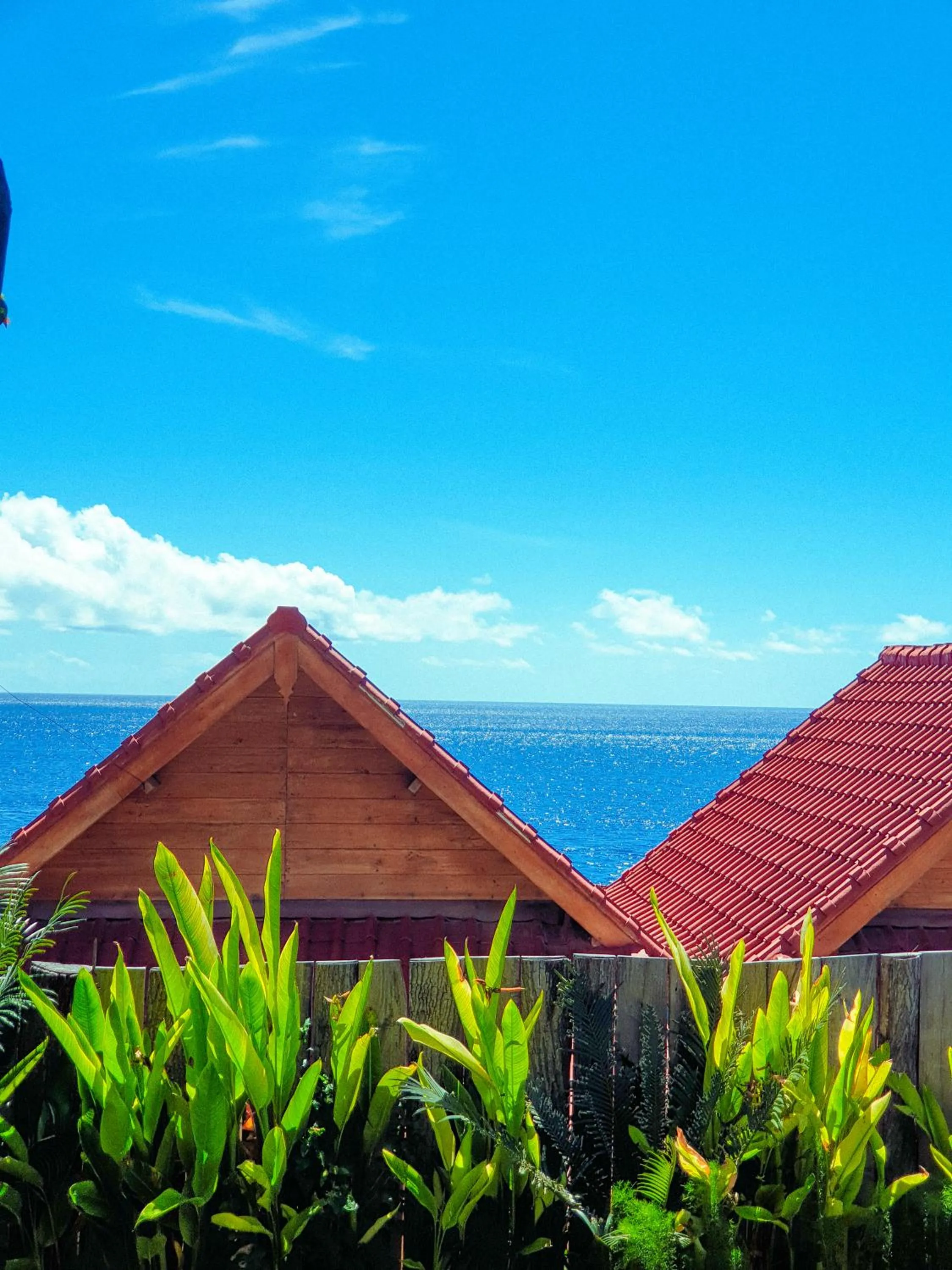 Natural landscape in Malibu Huts