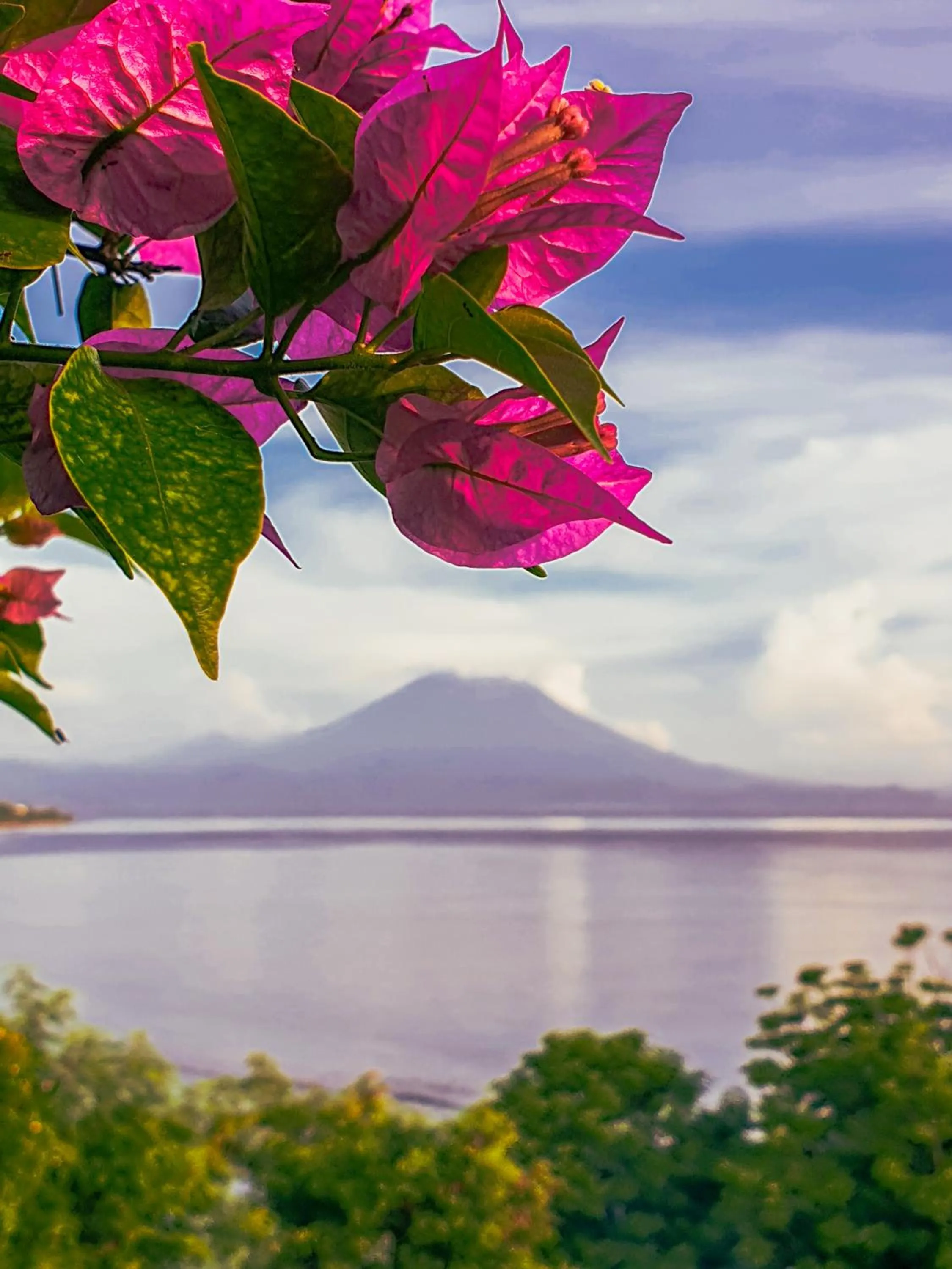 Natural landscape in Malibu Huts