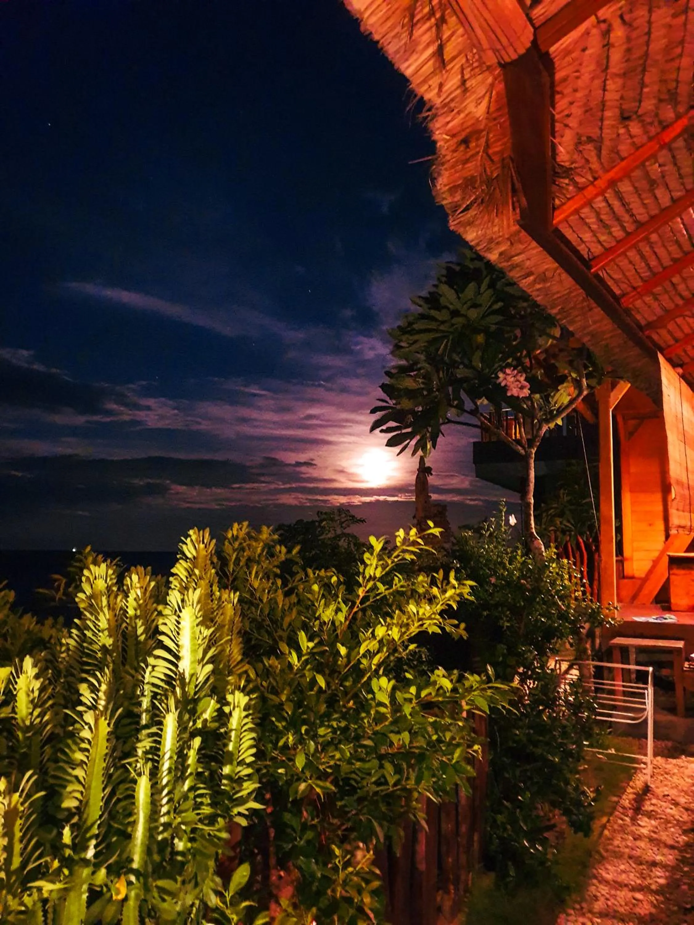 Natural landscape in Malibu Huts
