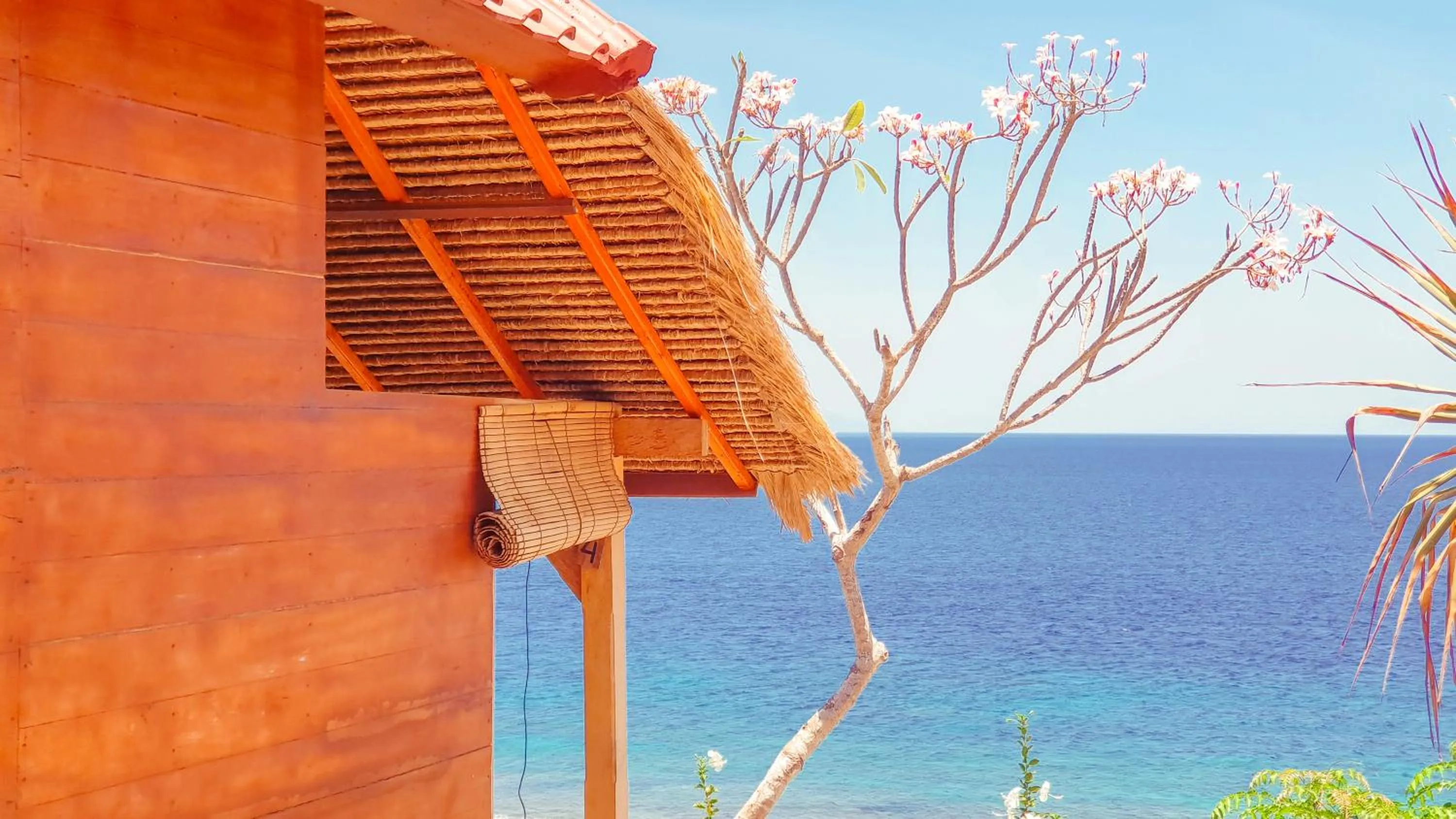 Property building in Malibu Huts