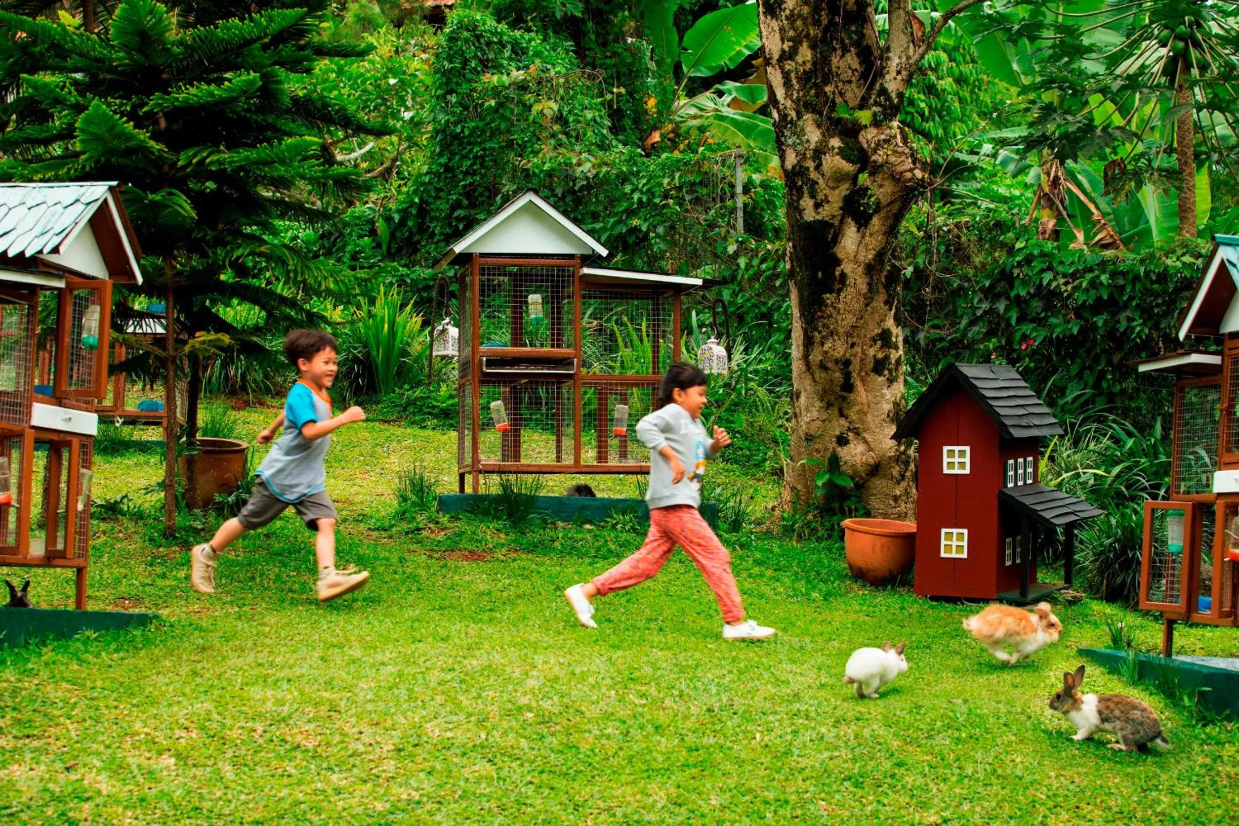 Children play ground in Novus Giri Resort & Spa