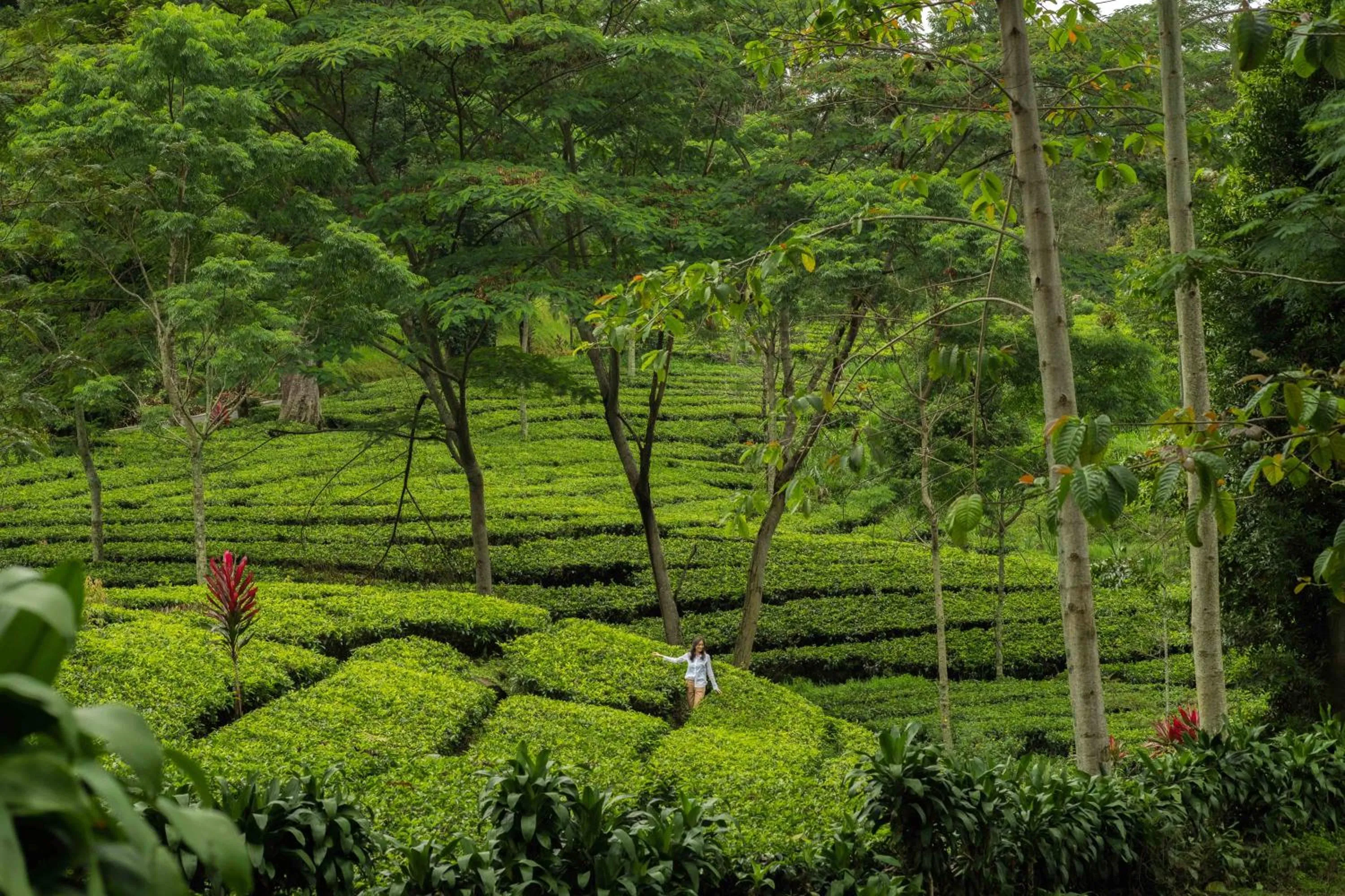 Other in Novus Giri Resort & Spa