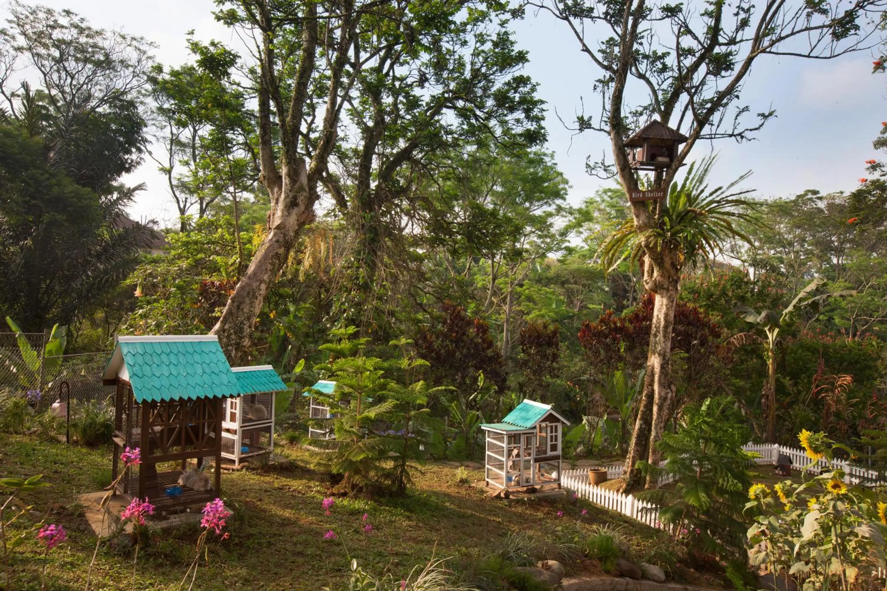 Garden in Novus Giri Resort & Spa