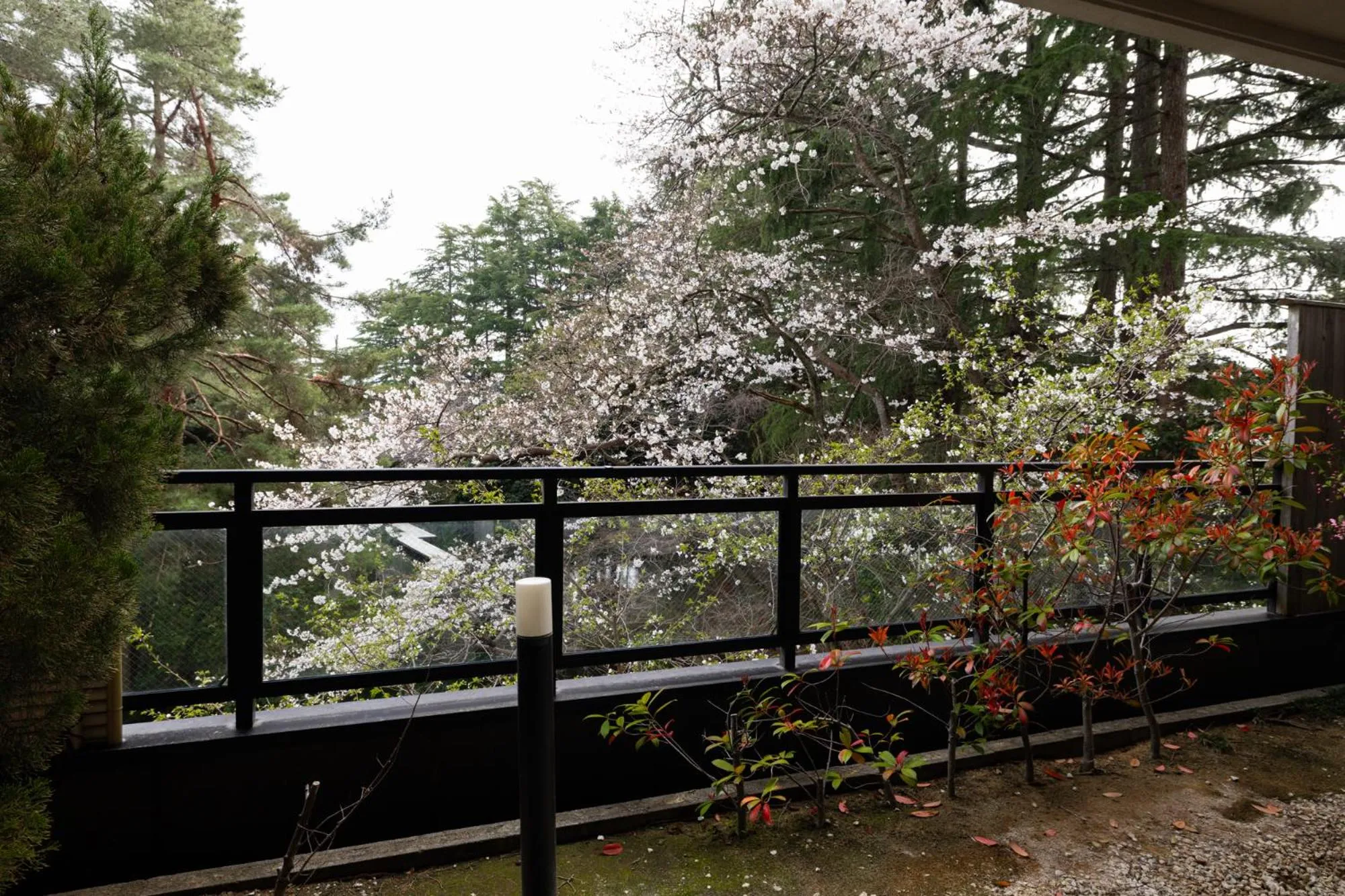 Garden in Matsusaki