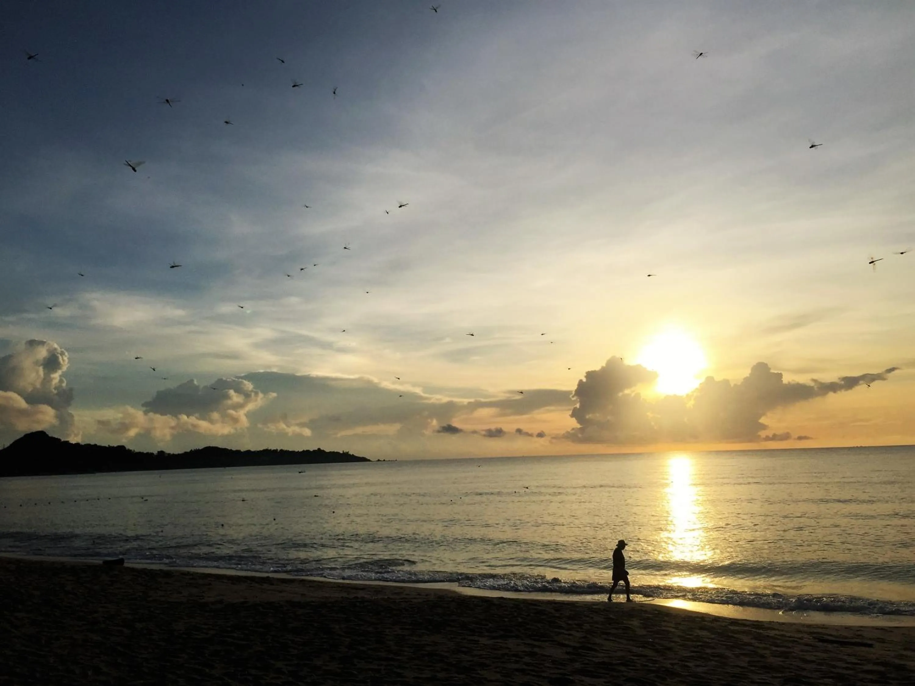 Beach in Lamai Coconut Beach Resort