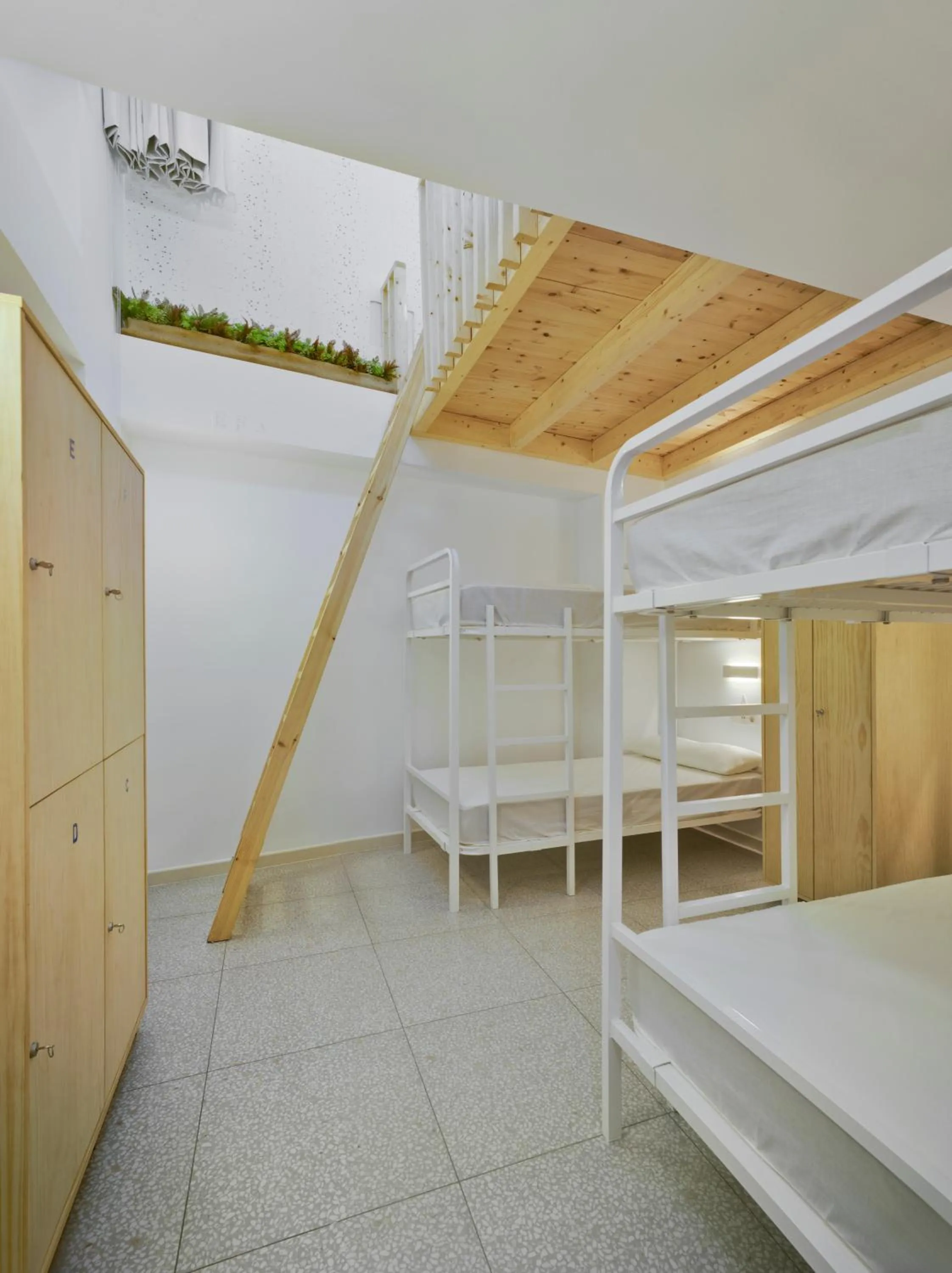 Photo of the whole room, Bed in Loop INN Hostel Cartagena