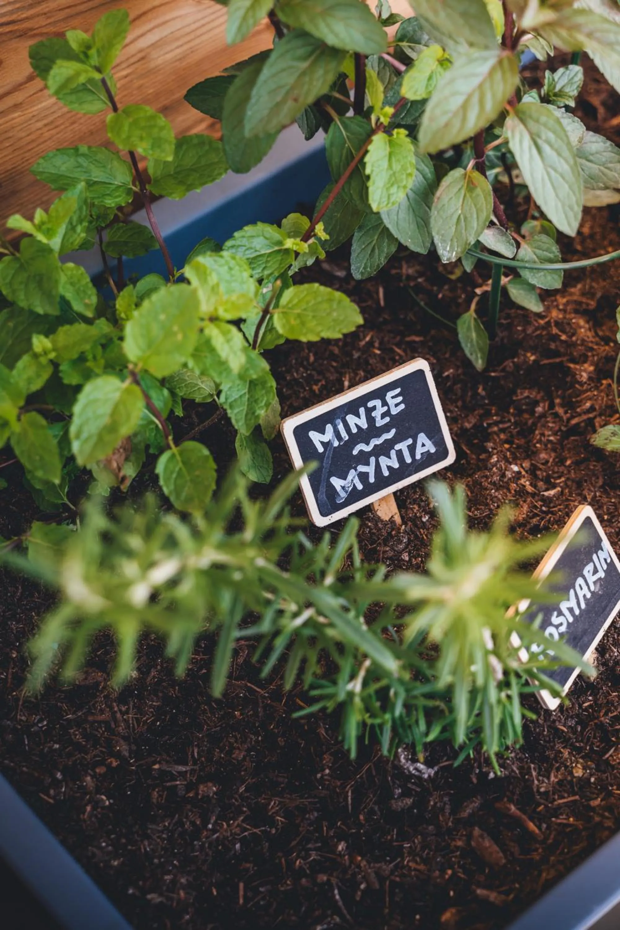 Lounge or bar in Hotel Sportalm - Adults Only Boutique Hotel