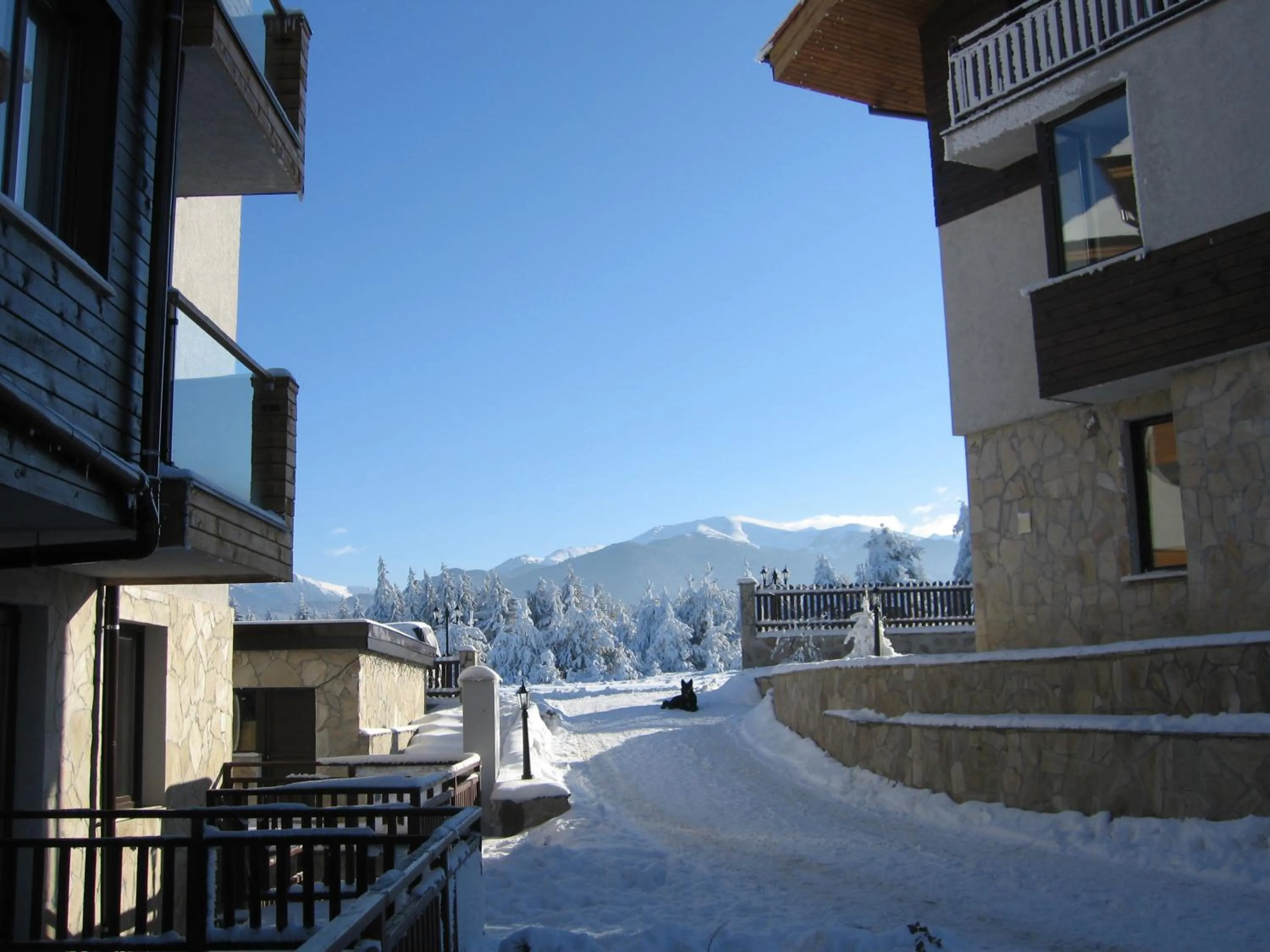 Winter in Chamkoria Chalets