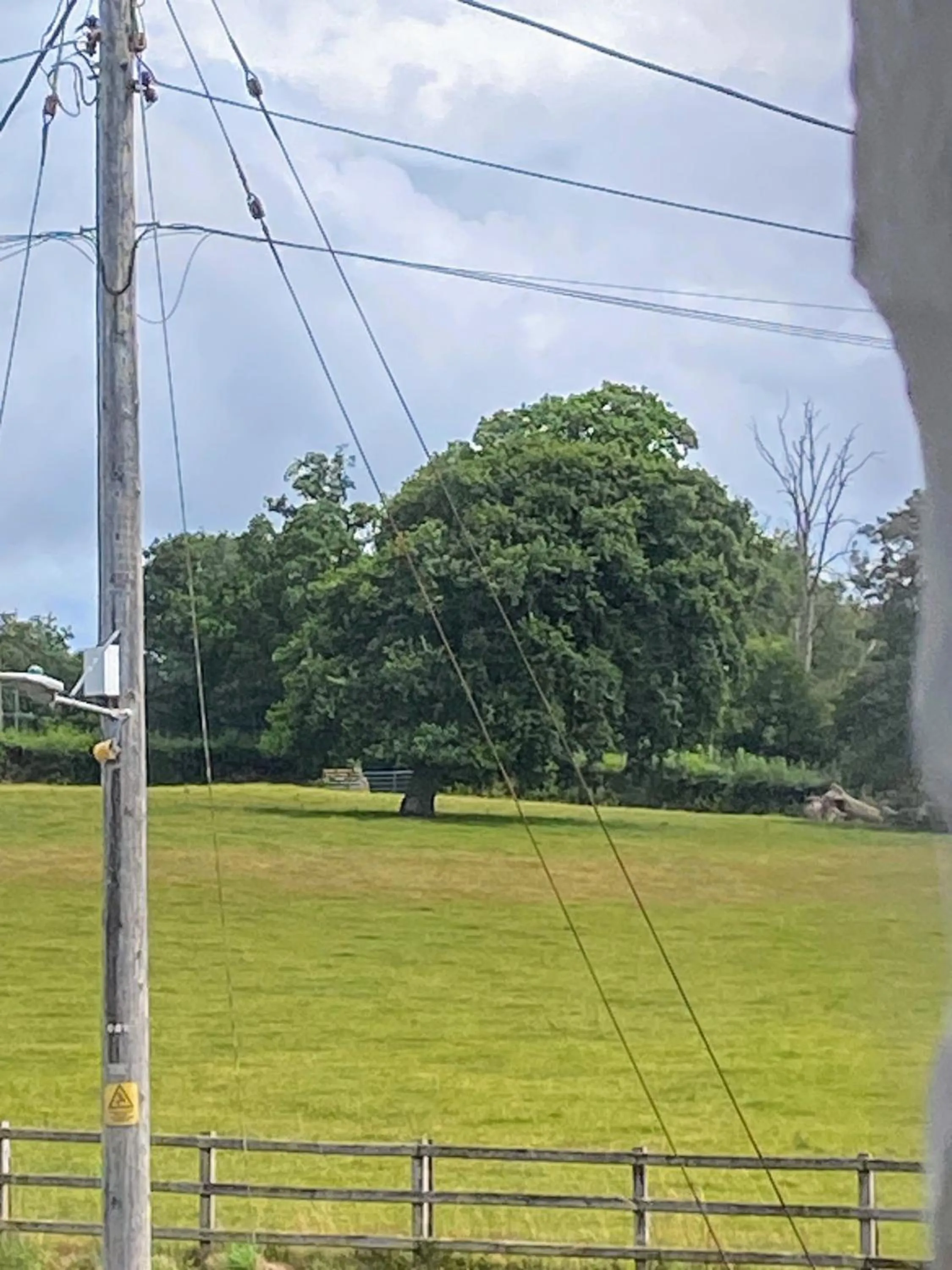 View (from property/room) in Flambards Hotel