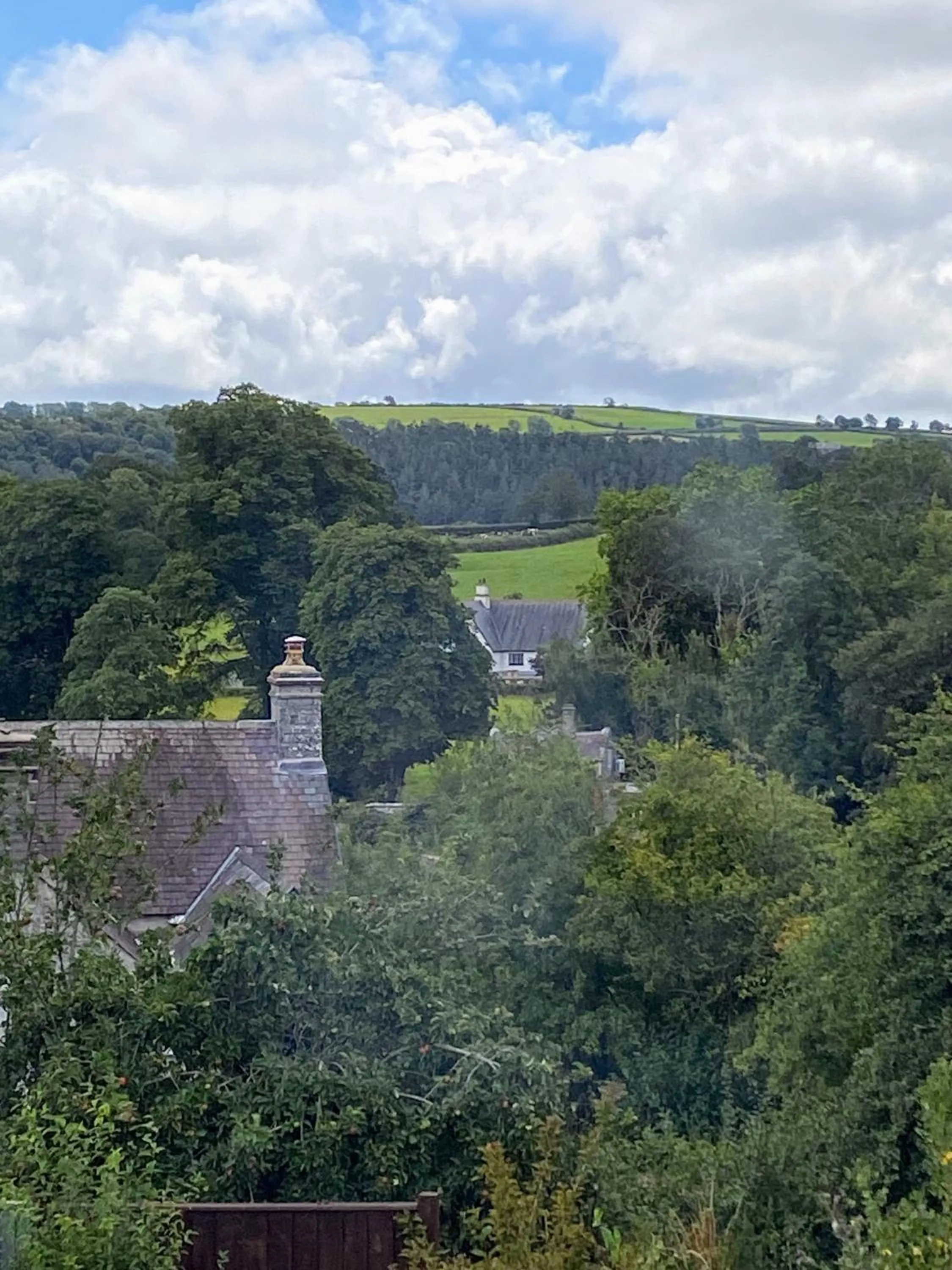 View (from property/room) in Flambards Hotel
