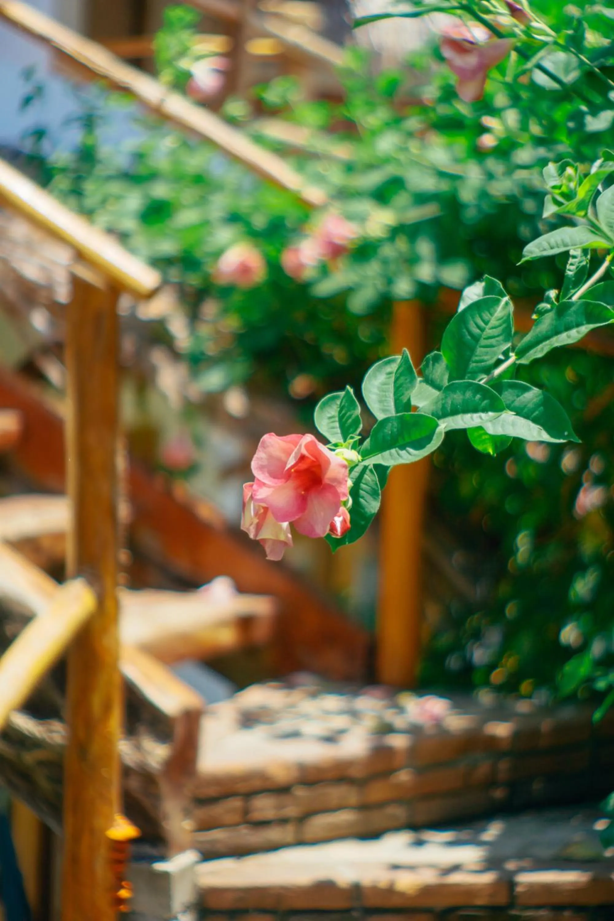 Property building in Hotel el Risco