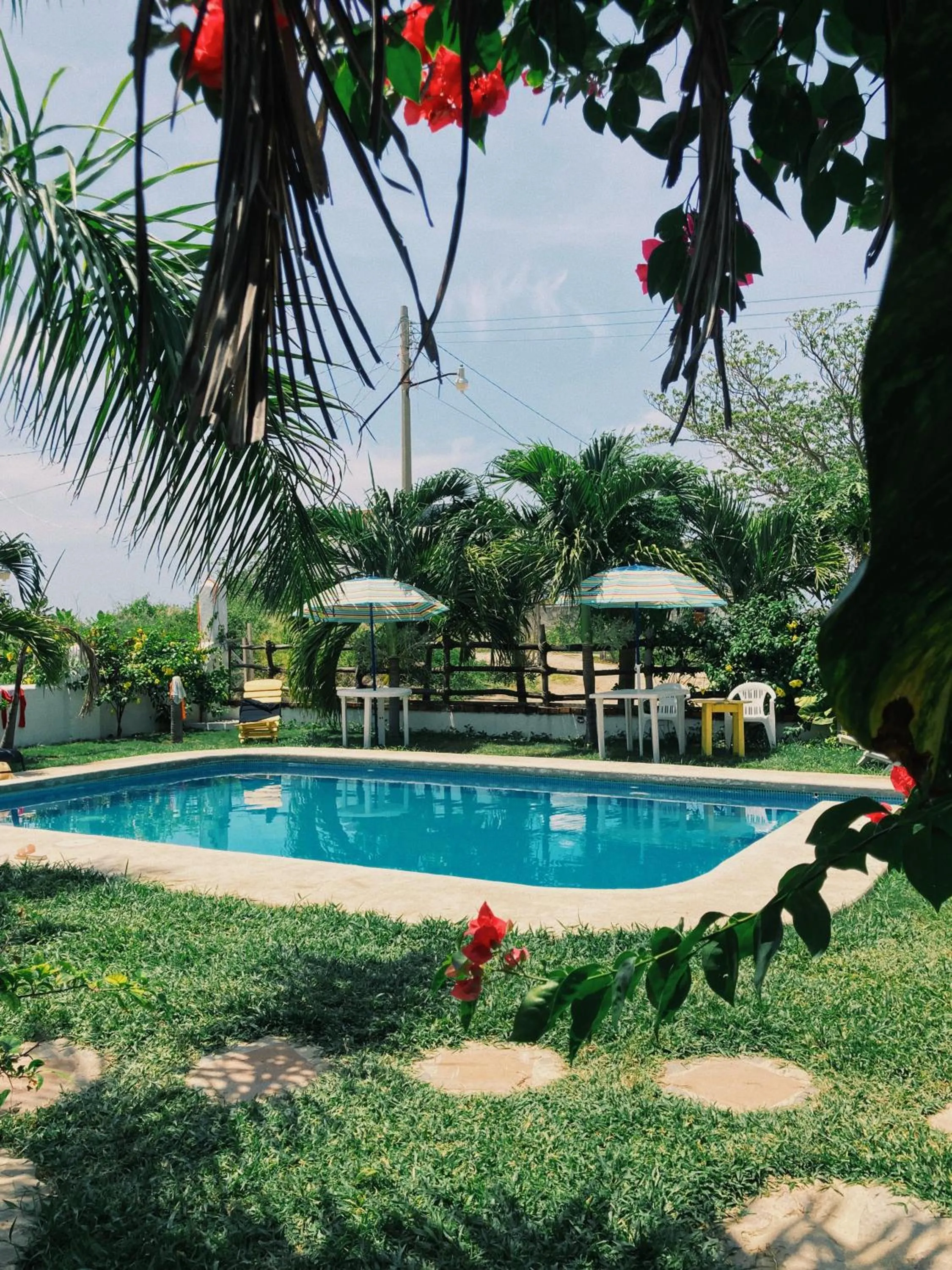 Pool view in Hotel el Risco