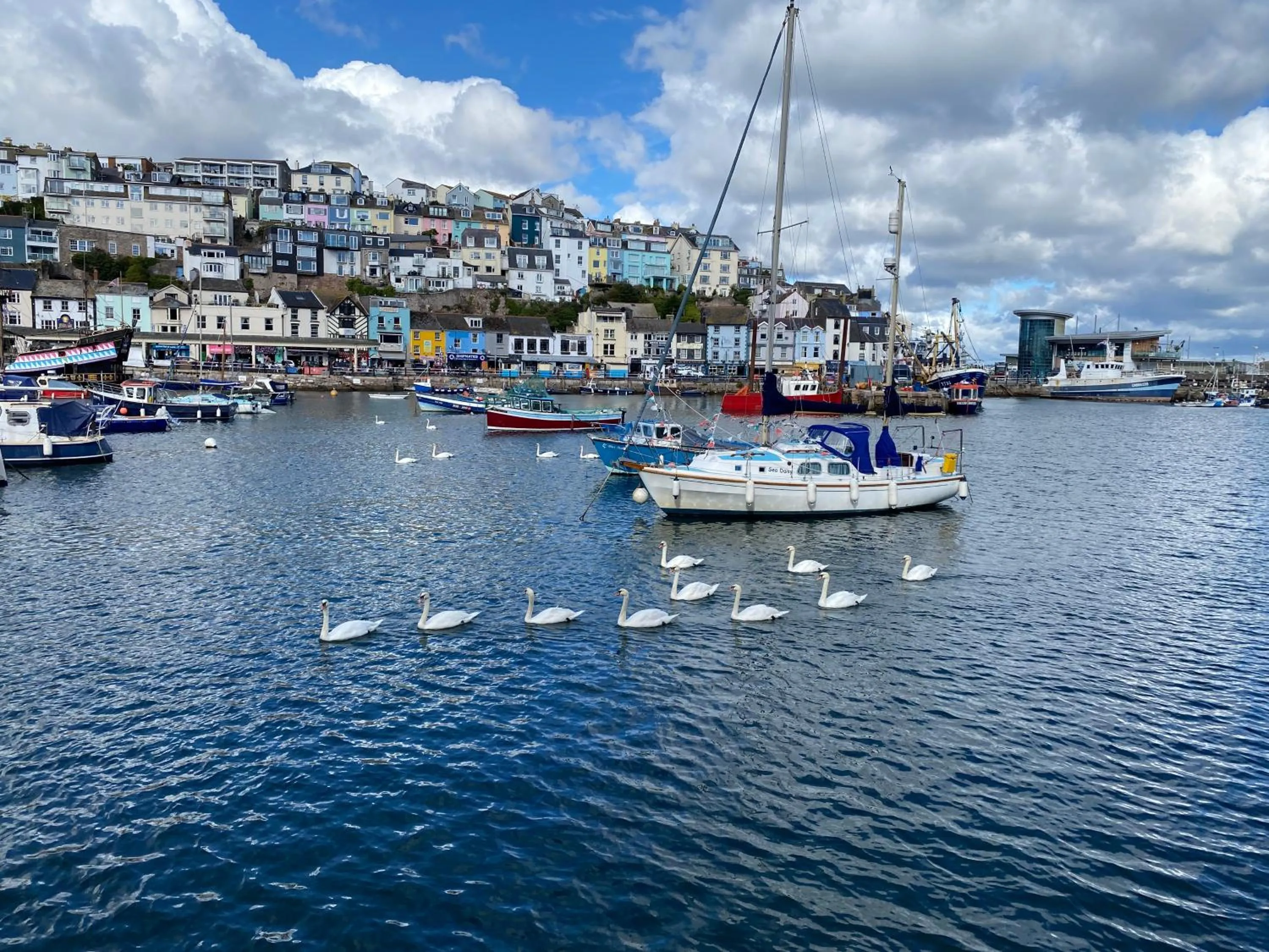 Nearby landmark in Waters Edge Hotel Torquay