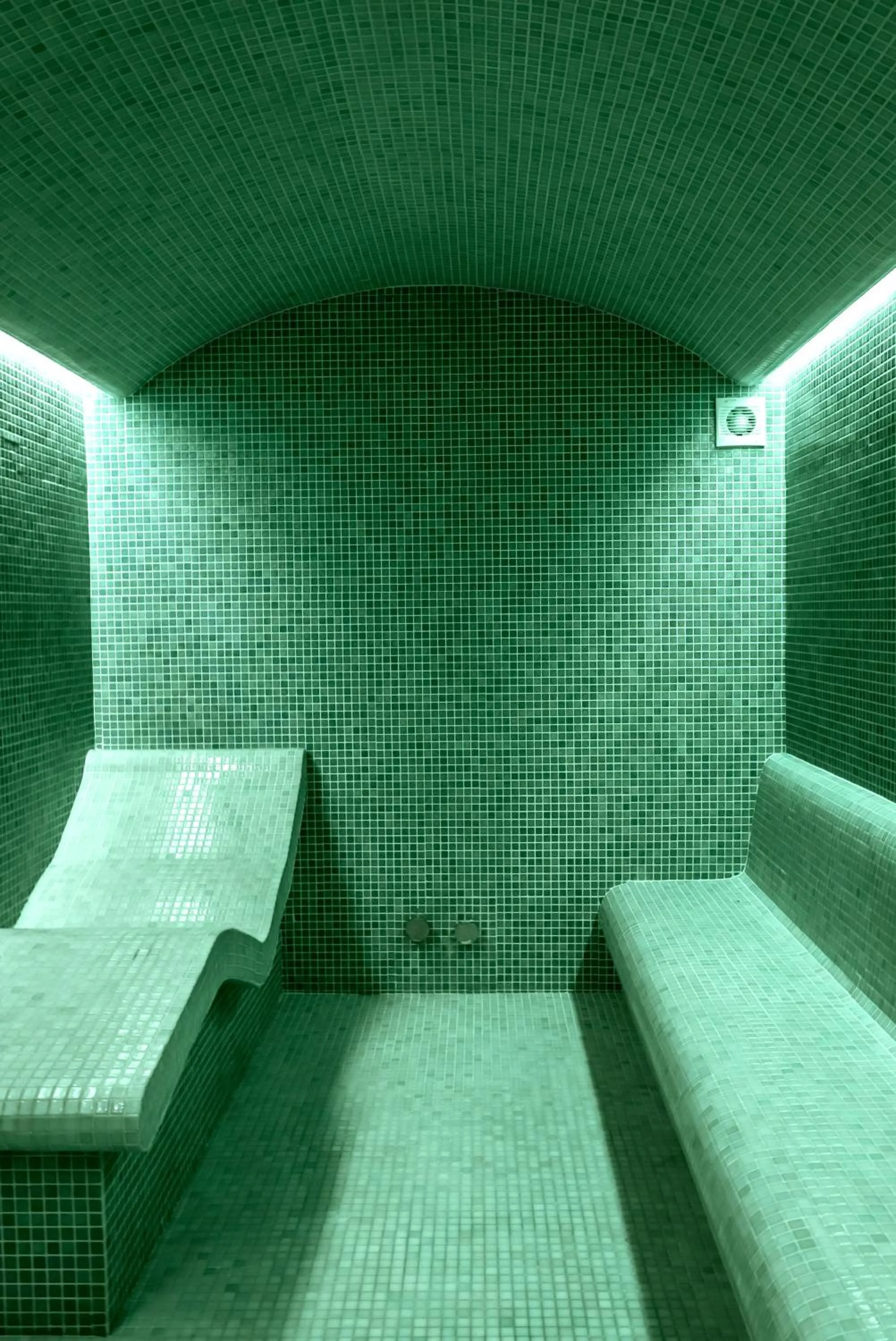 Steam room, Bed in Peninsula Resort & Spa