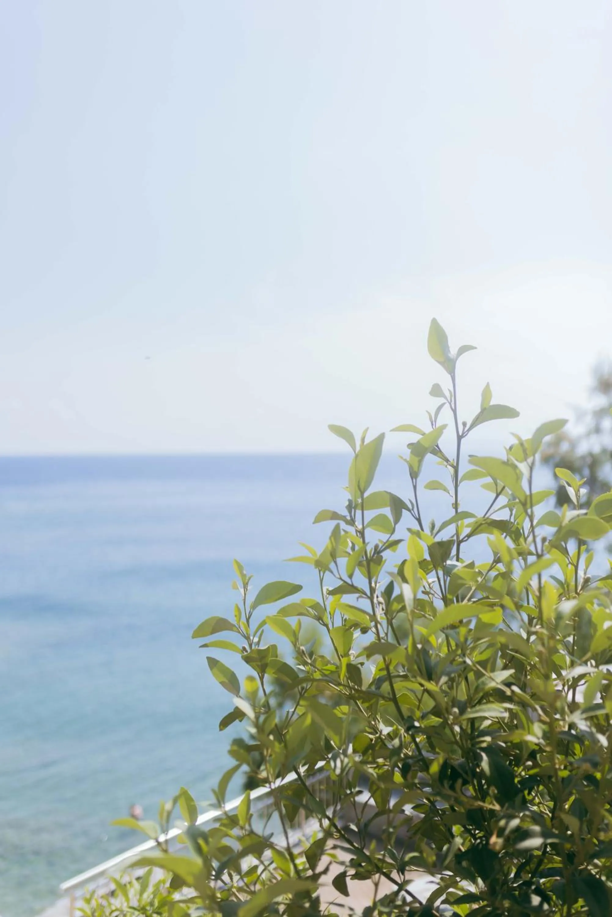 Sea view in Peninsula Resort & Spa