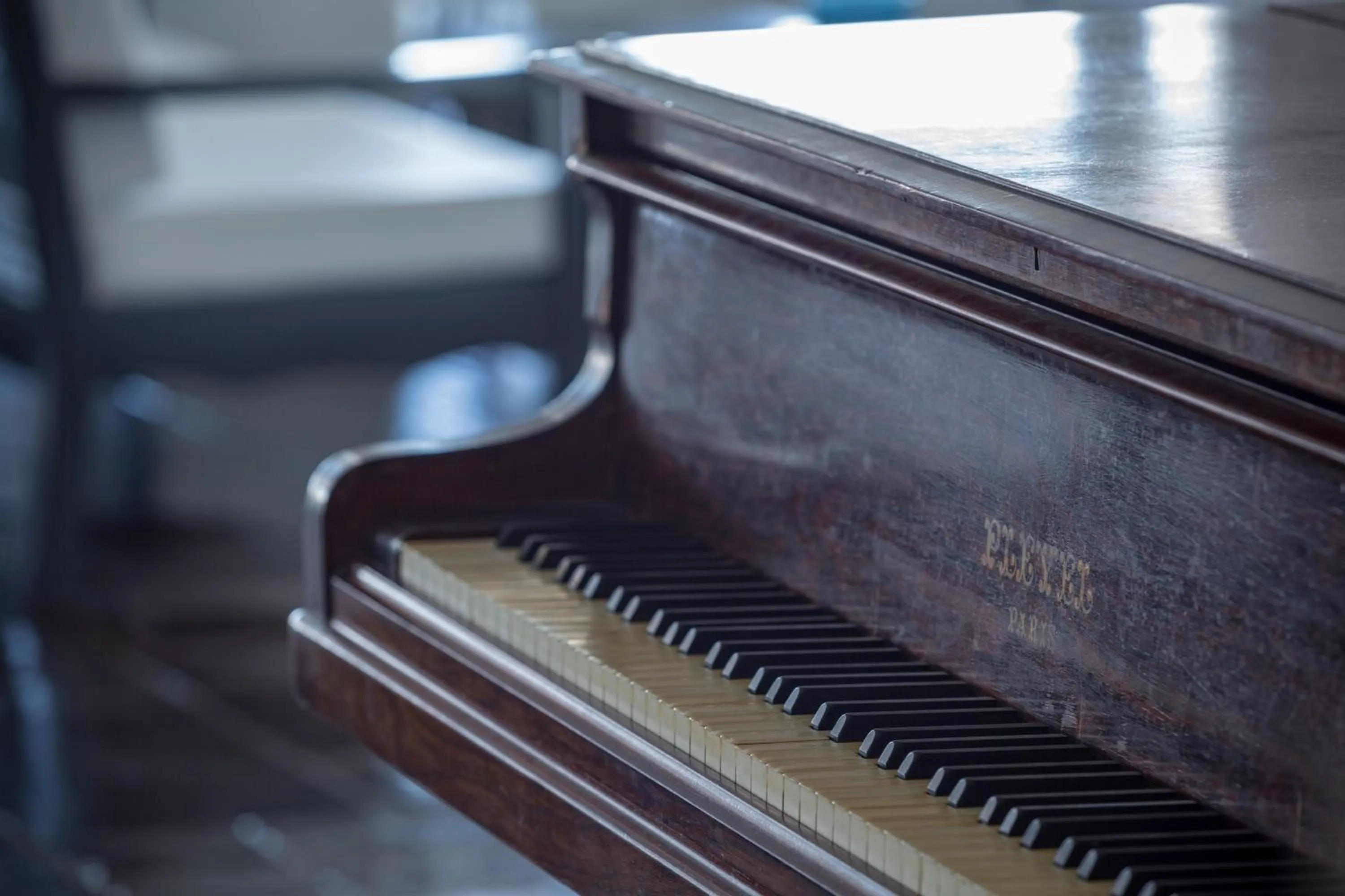 Lounge or bar in Peninsula Resort & Spa