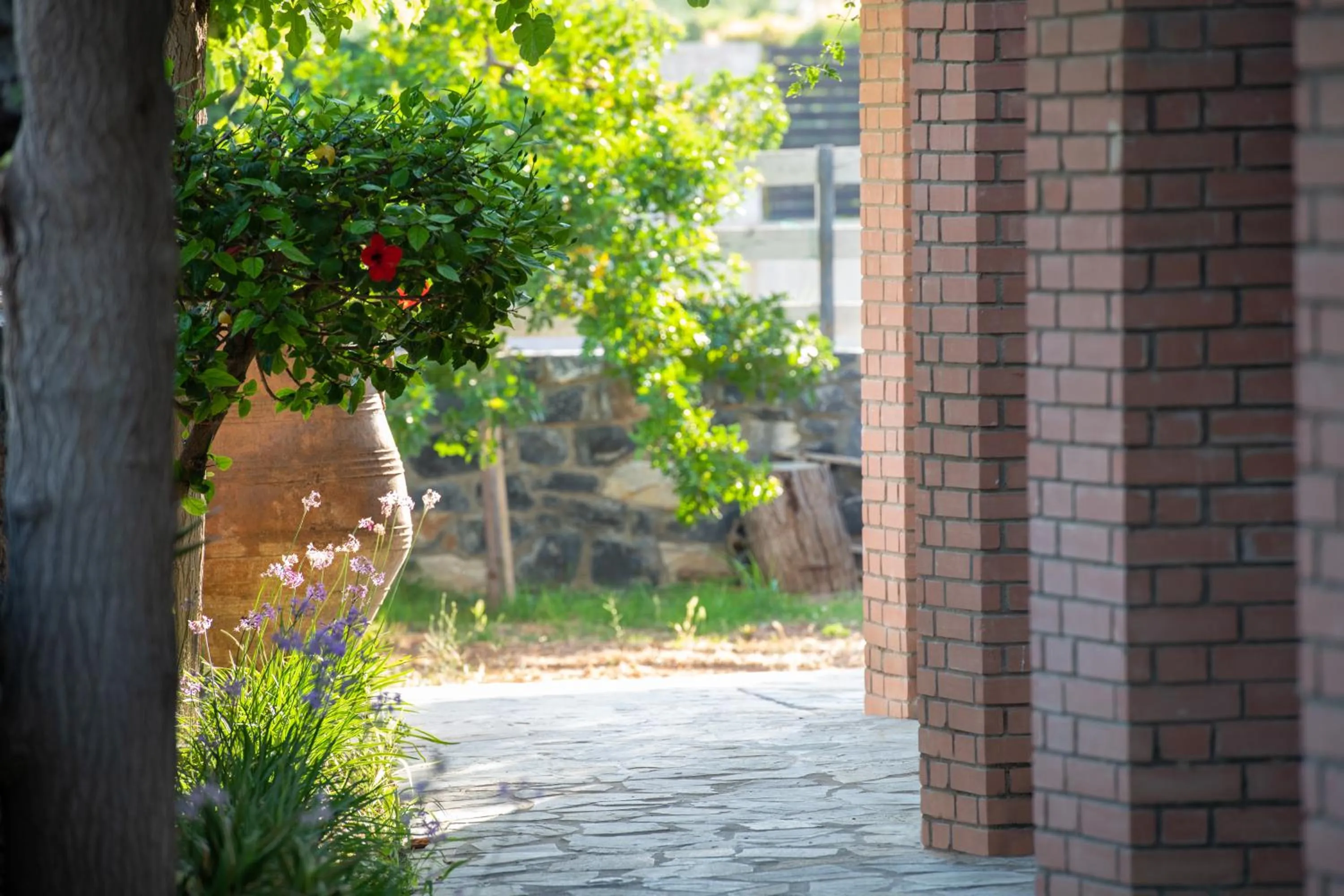 Garden view in Nancy - Chara Apartments