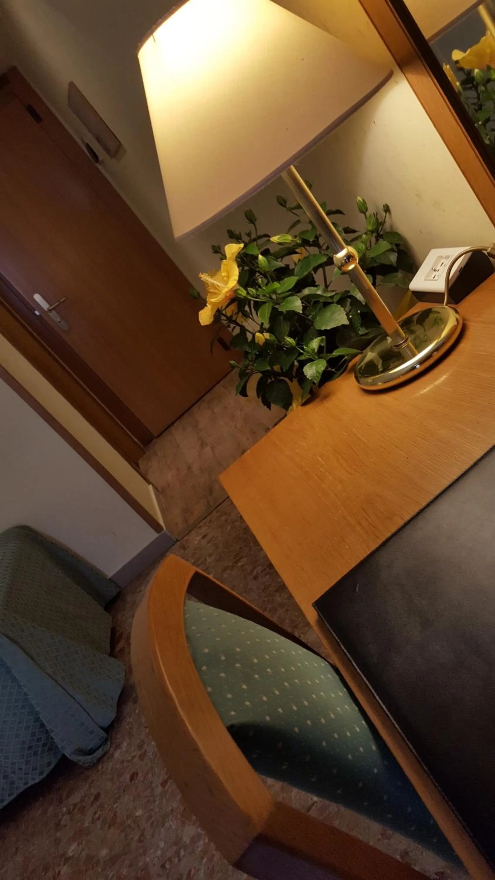 Decorative detail in Nuovo Albergo