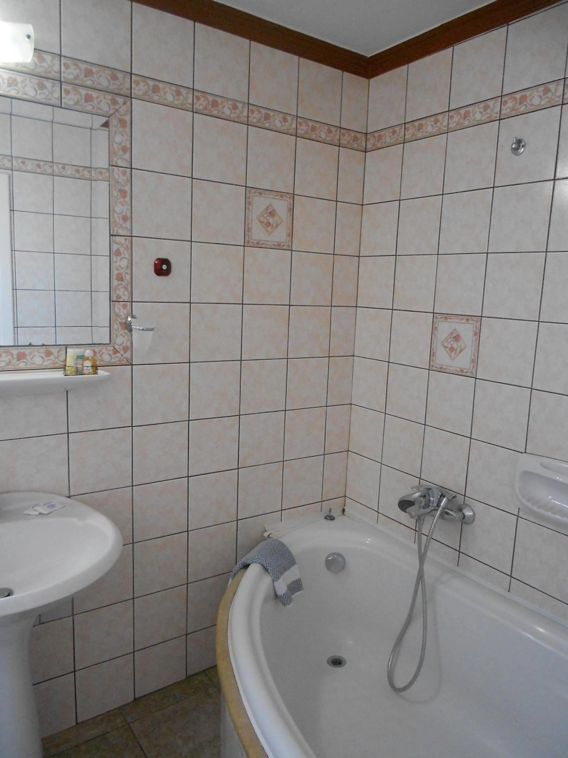 Bathroom in Hotel Admitos