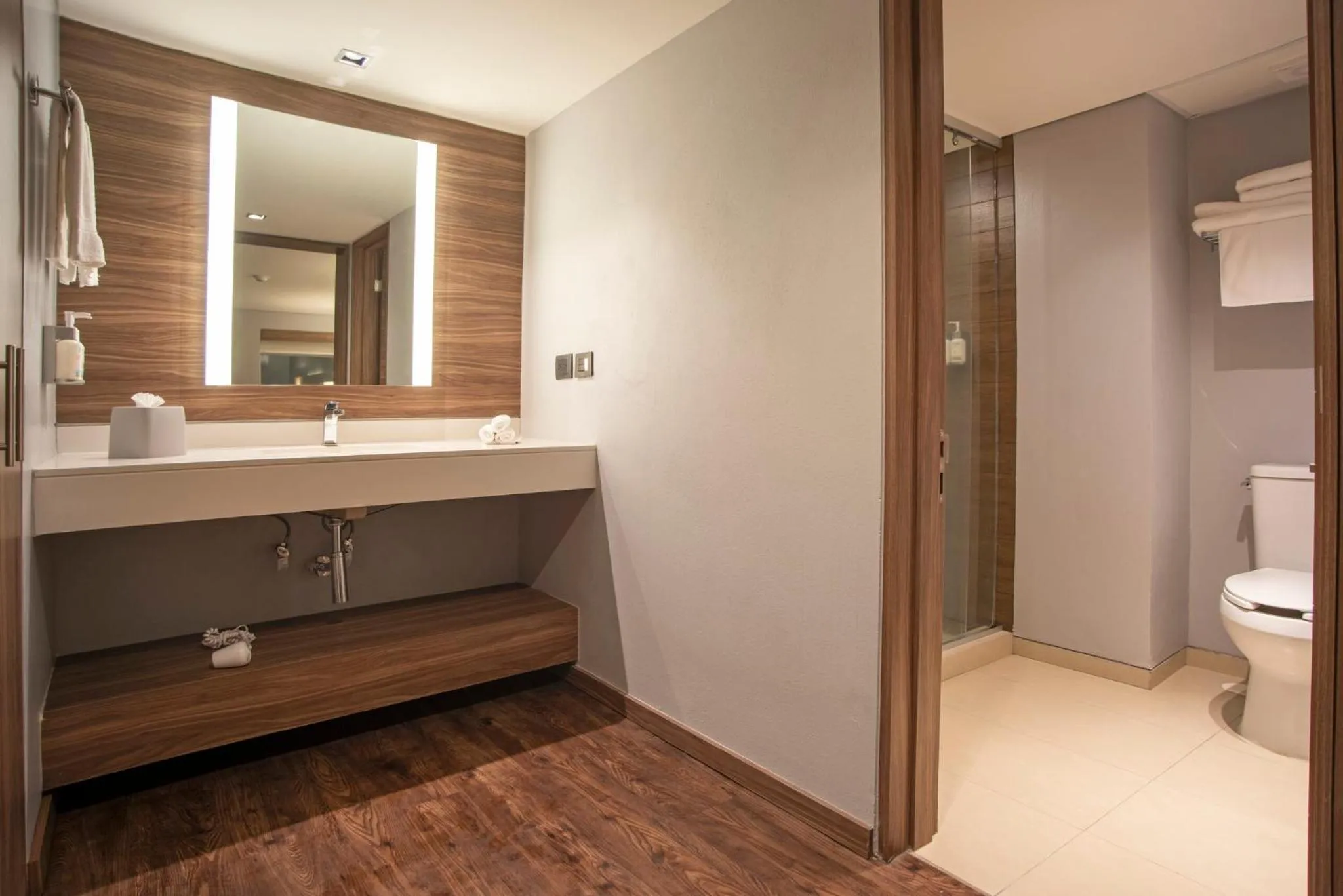 Bathroom in Holiday Inn Express Morelia by IHG