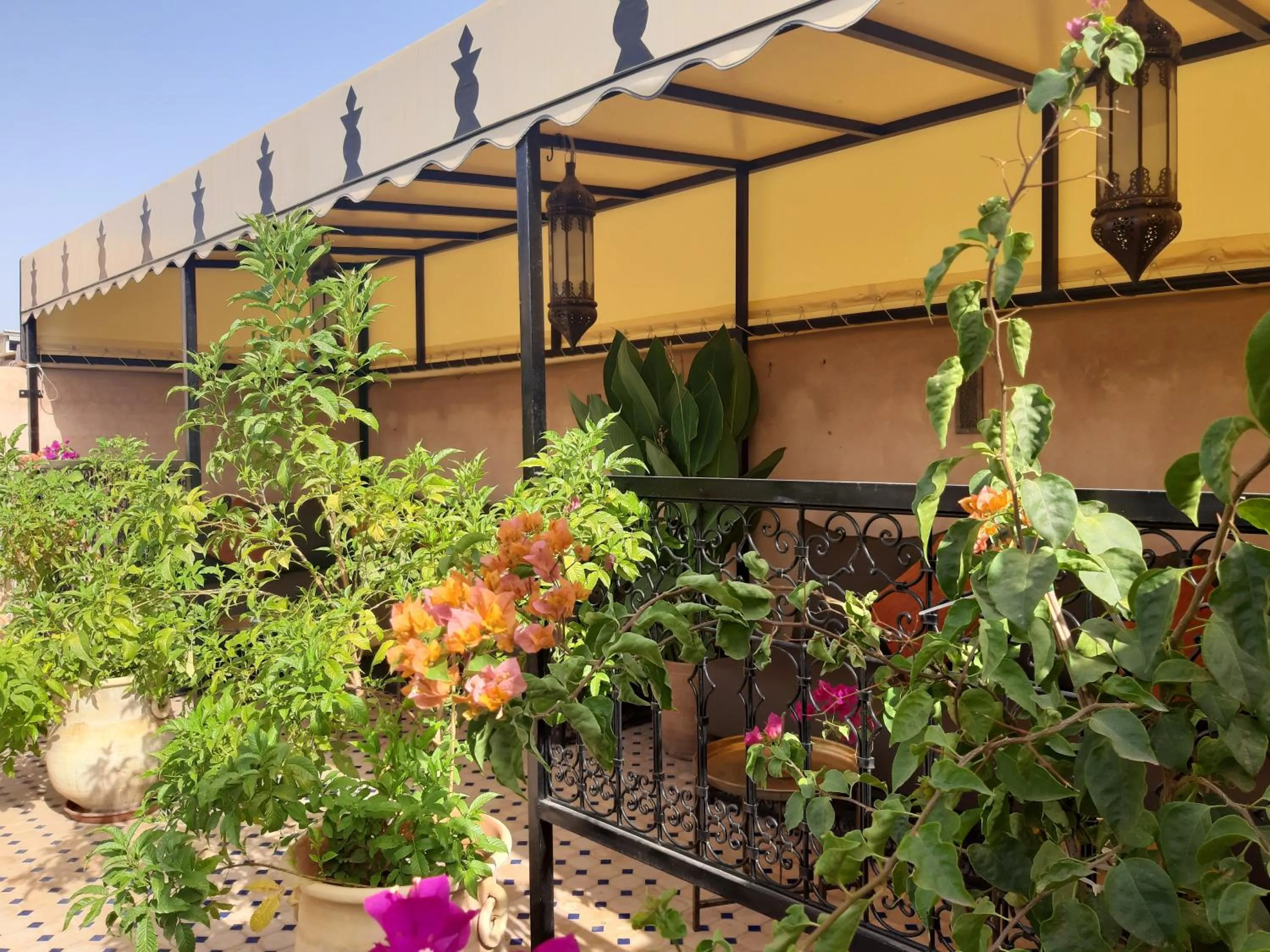 Balcony/Terrace in Riad Miral