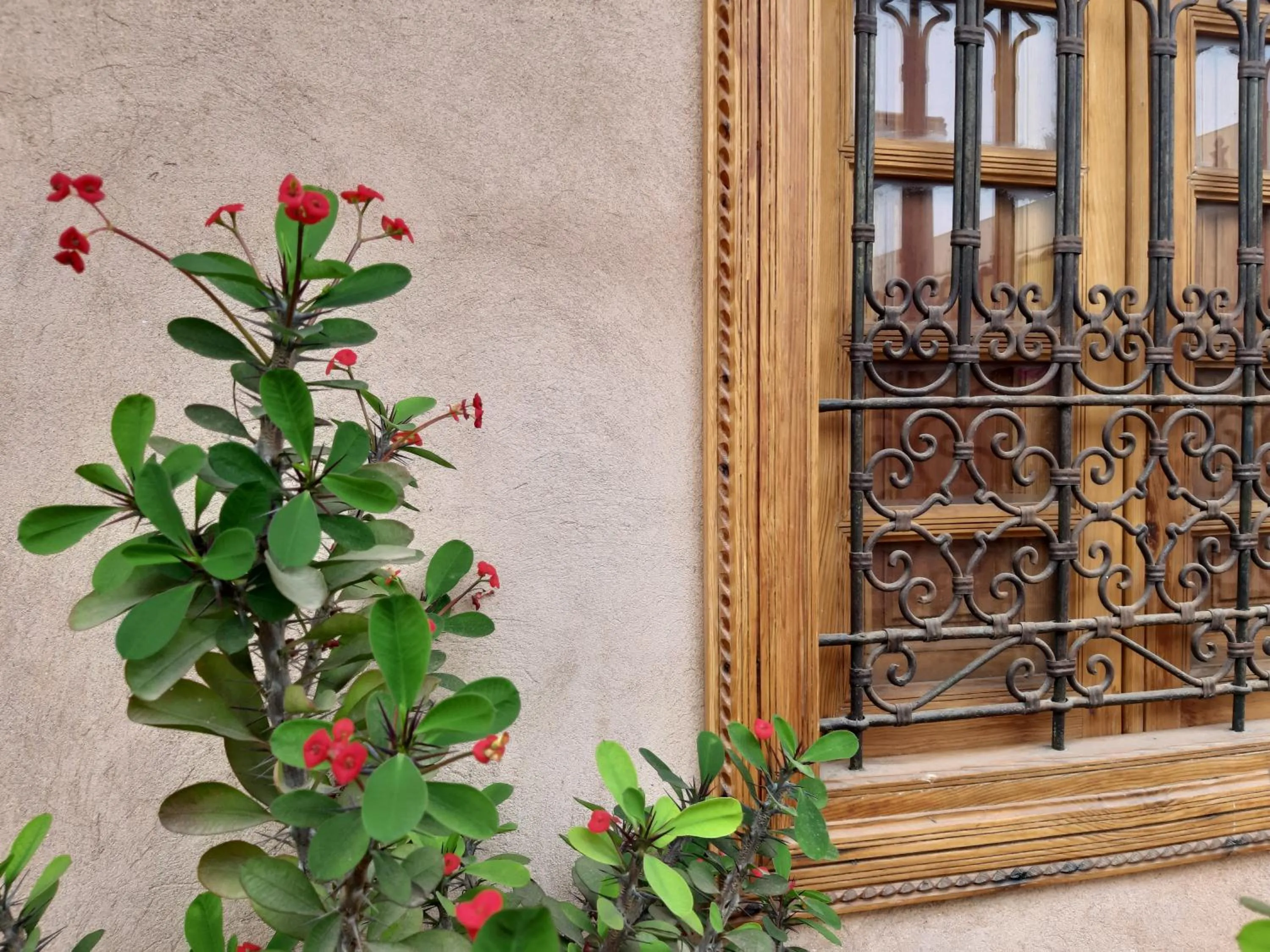 Decorative detail in Riad Miral
